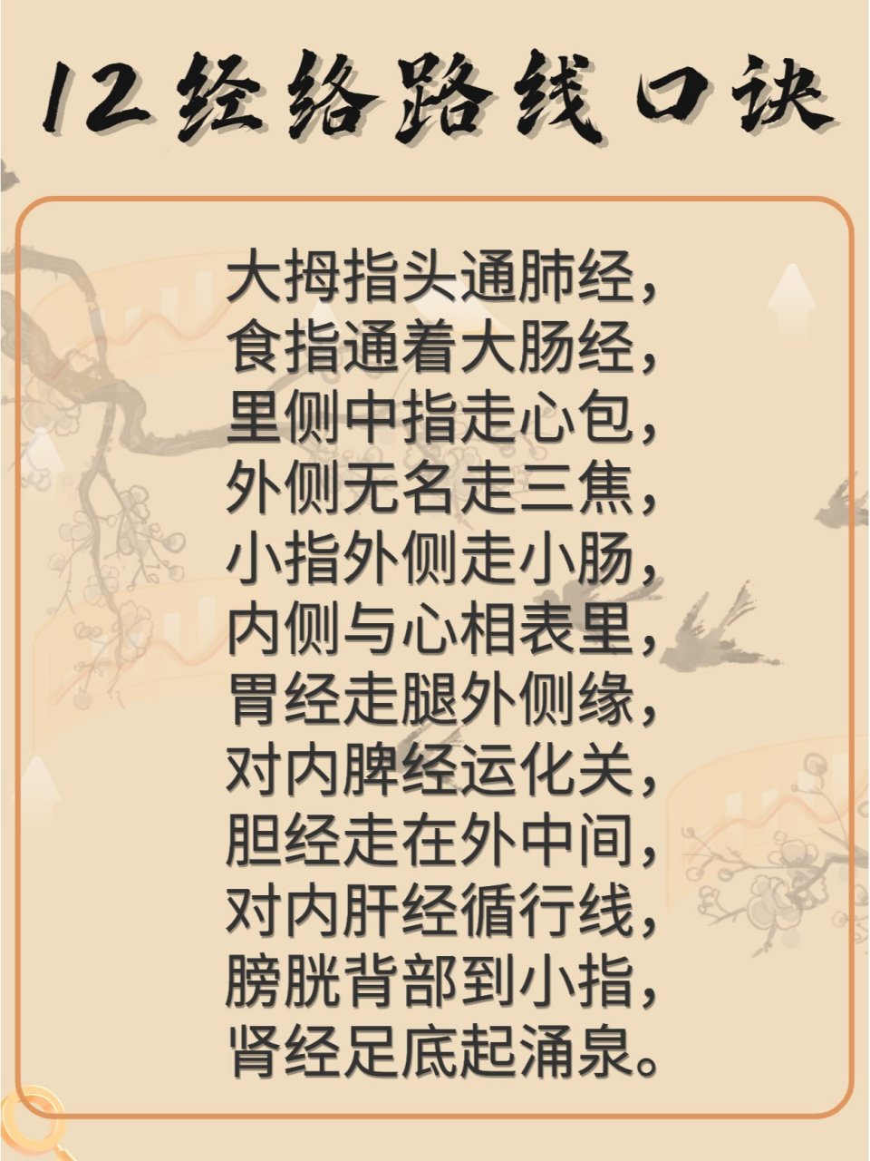 12经络路线口诀 大拇指头通肺经, 食指通着大肠经, 里侧中指走心包