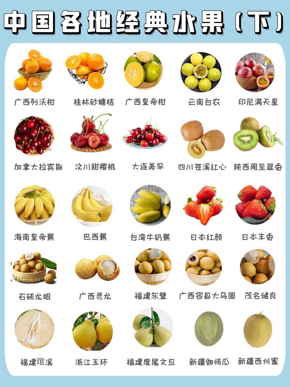水果名字品种图片
