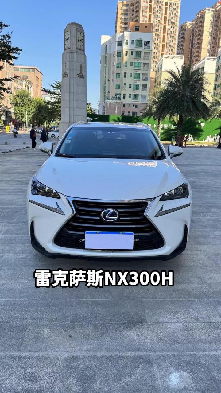 nx300雷克萨斯 报价图片