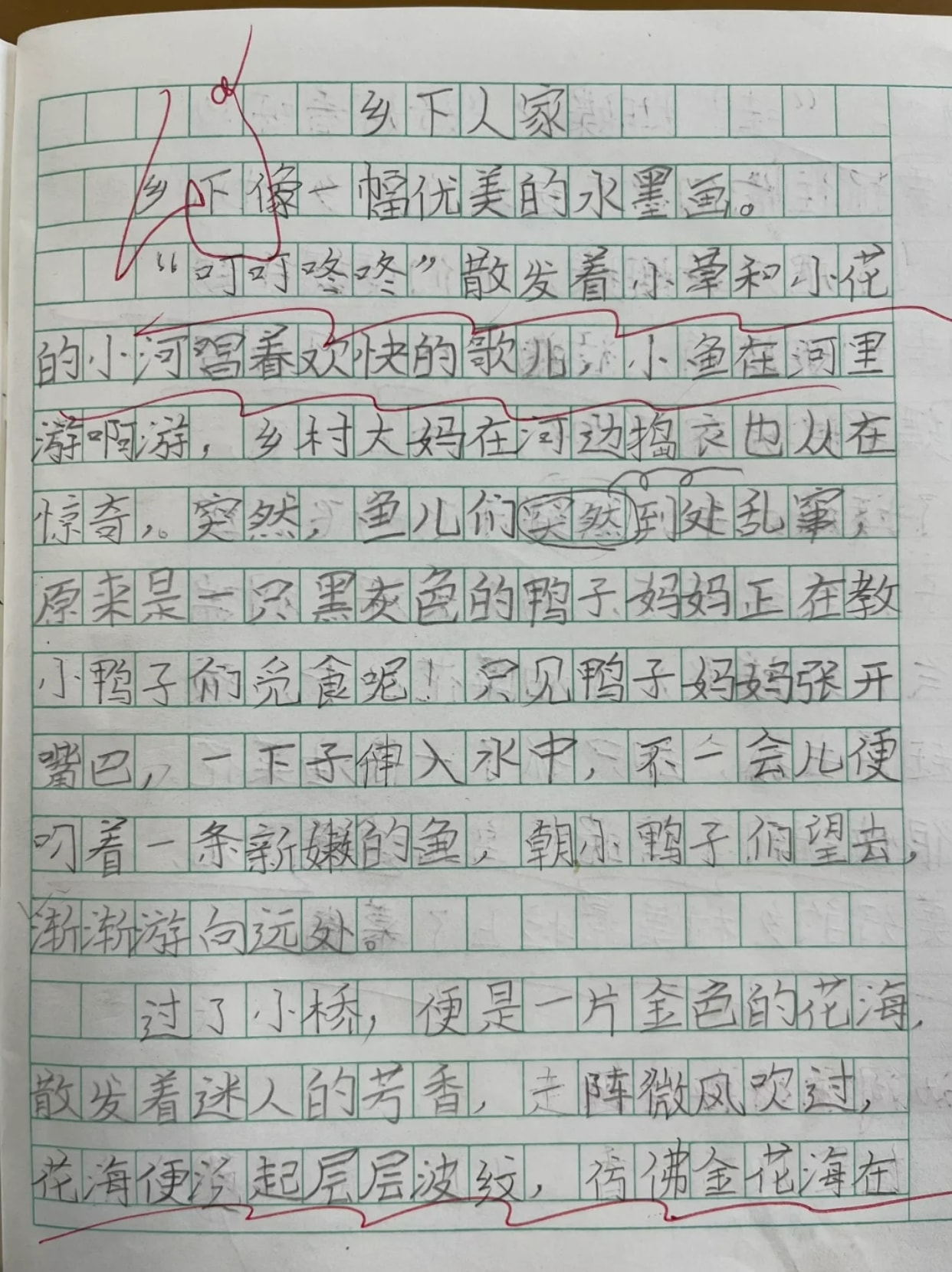 我眼中的乡村景致200字作文