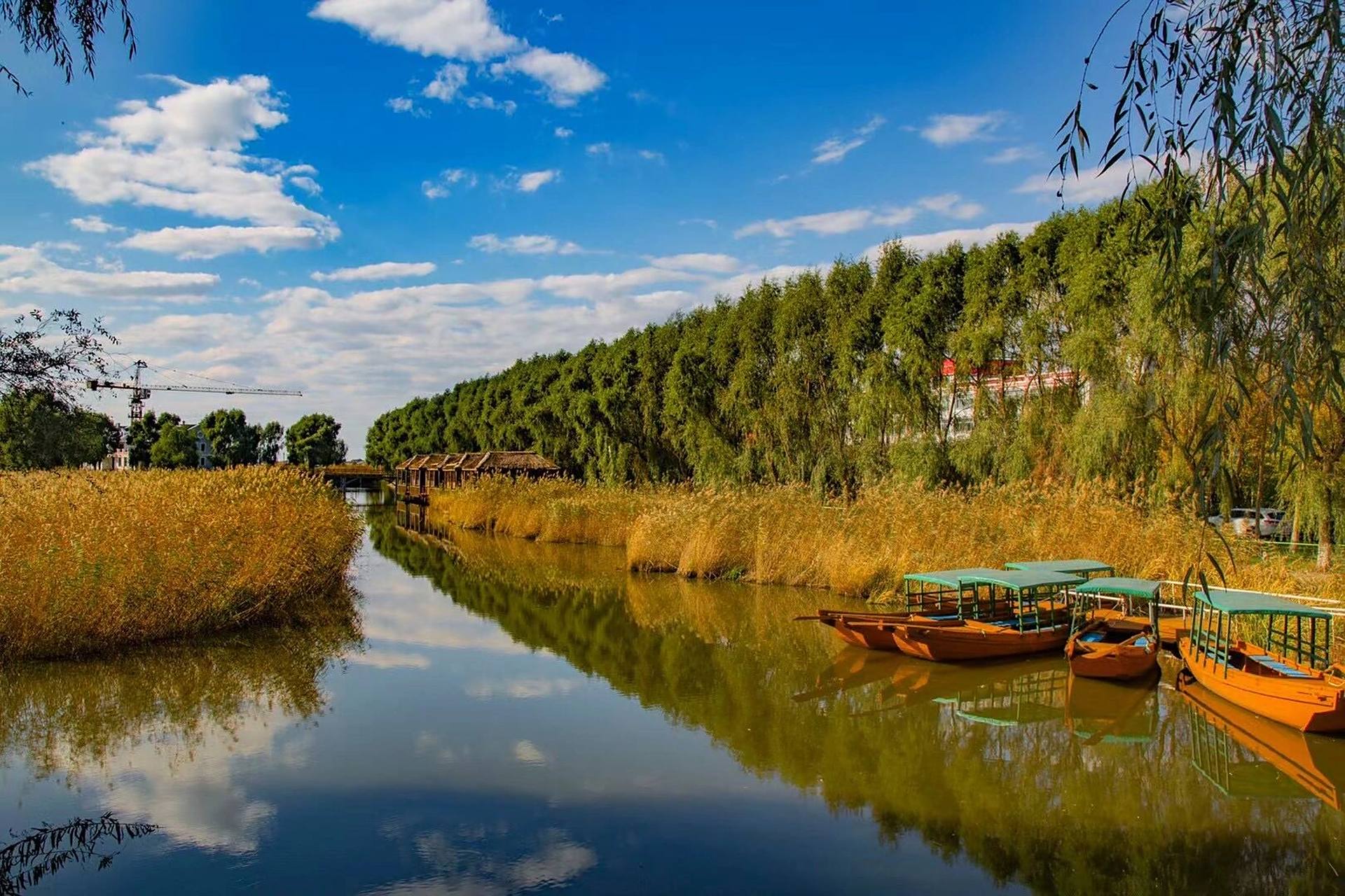 1890白鱼泡湿地公园,游湖烧烤垂钓一应俱全 92白鱼泡湿地公园