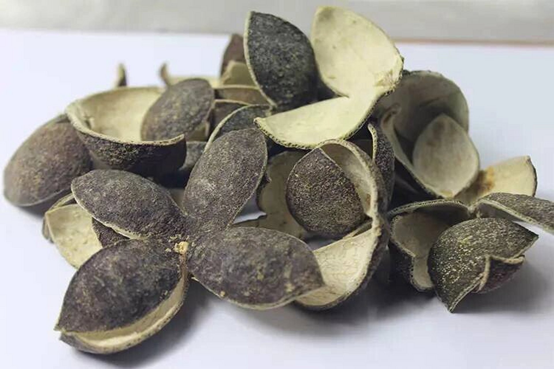 疏肝理气的中药有哪些?