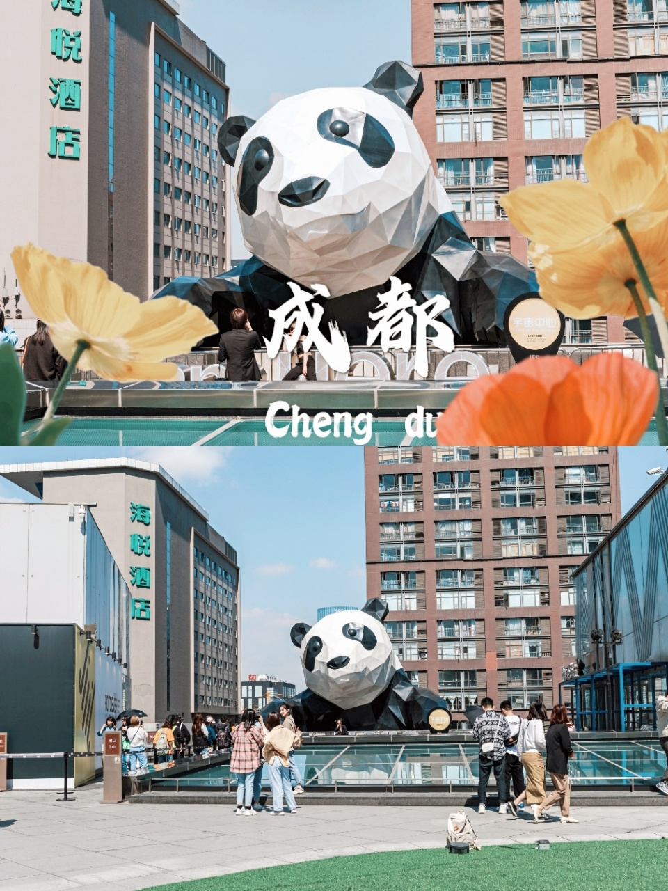 成都旅游攻略·必打卡成都ifs爬墙大熊猫!