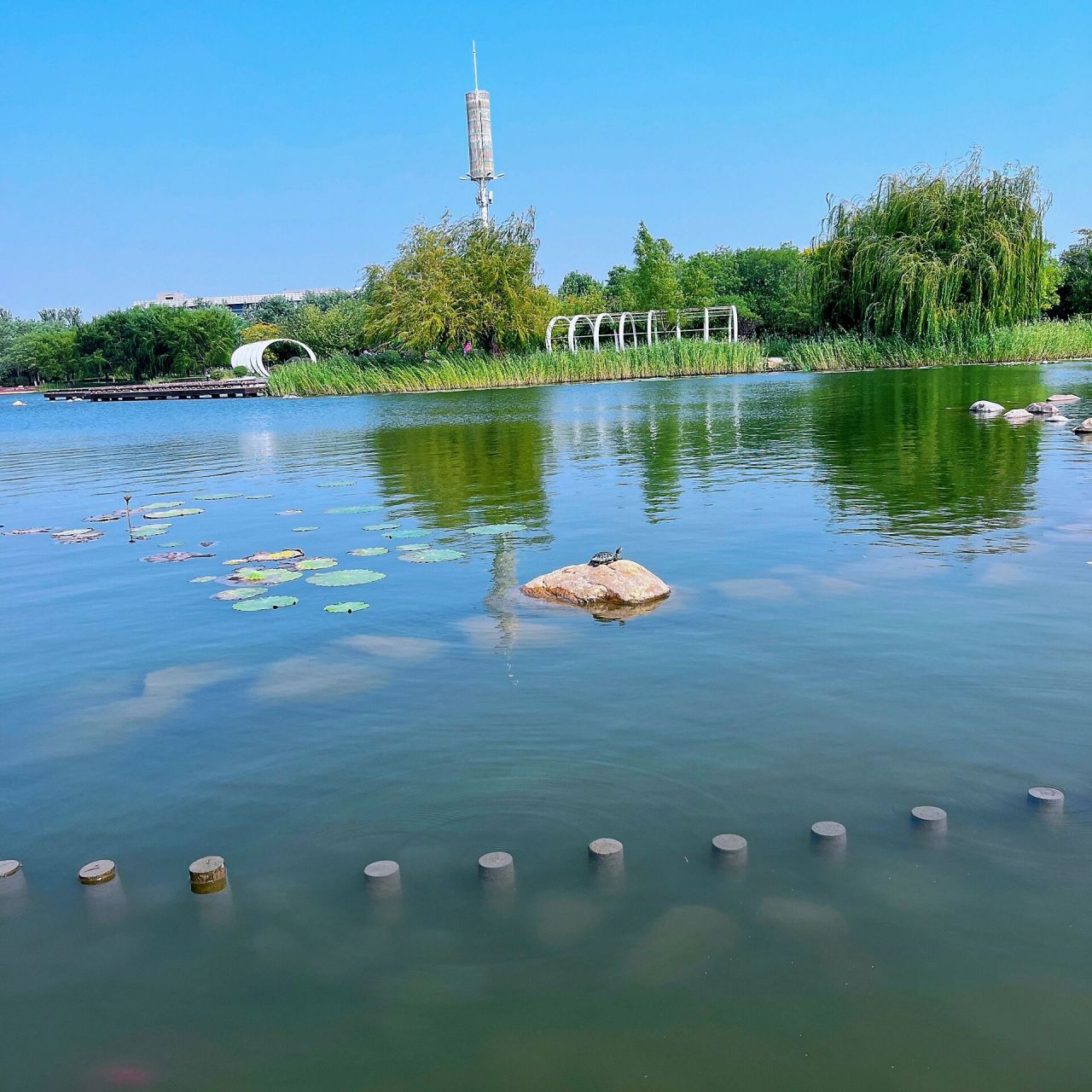 鞍山师范学院 鞍山师范学院职教城校区 22级电子商务 新生有问题可以