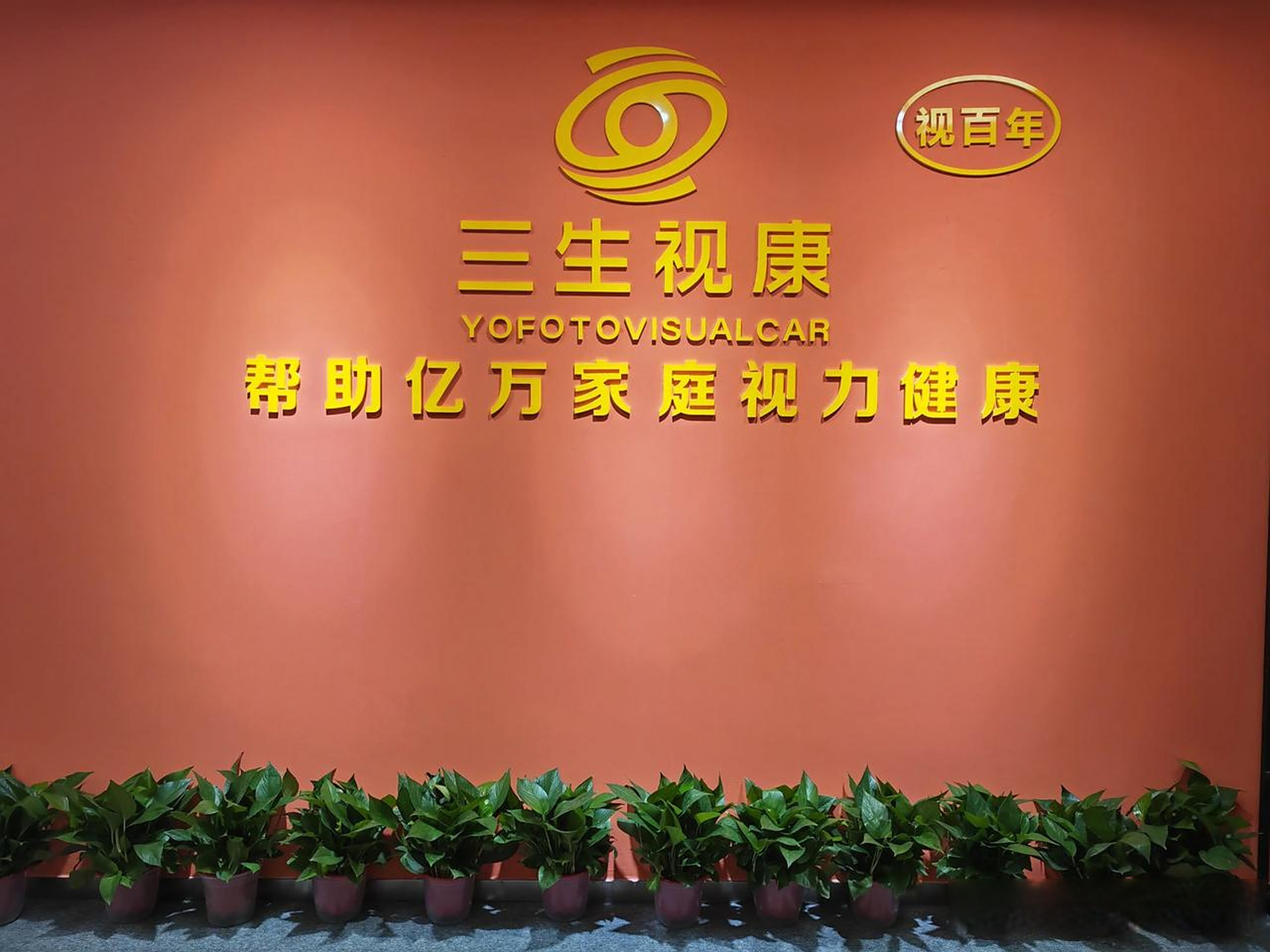 三生视康视百年襄阳旗舰店 筹备工作进入尾声 欢迎家人们前往盛特区b