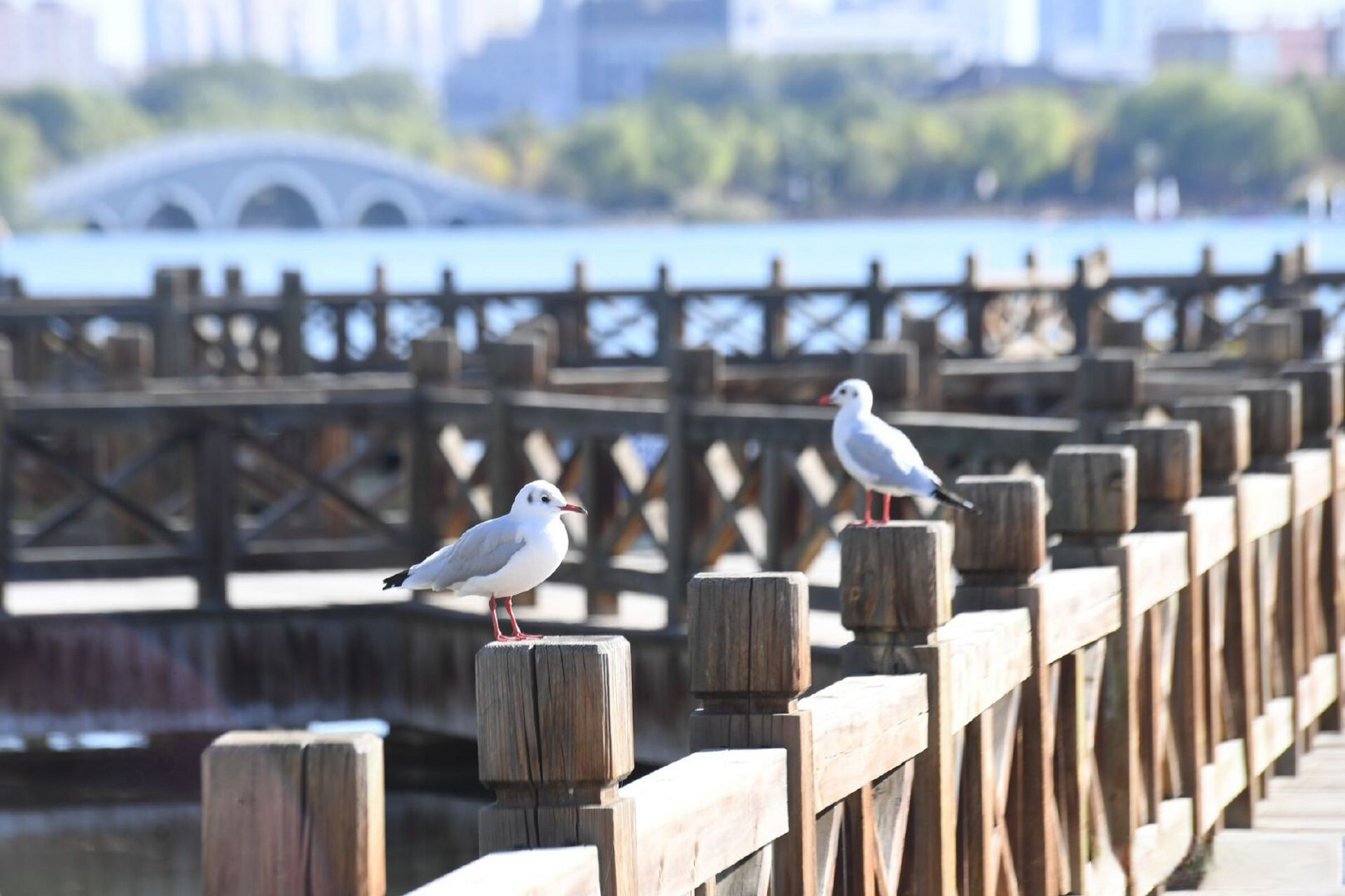 银川市海宝公园图片