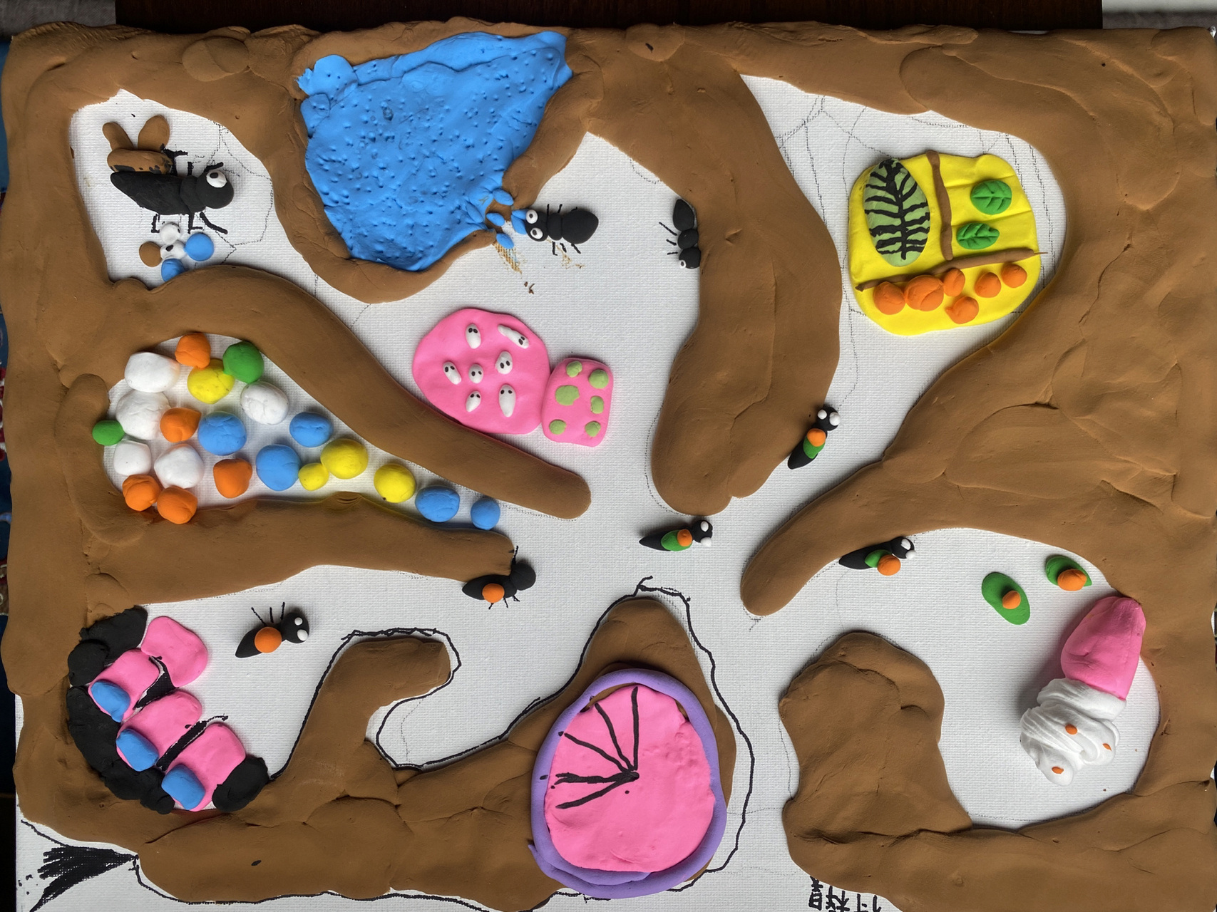 造窝技术一流 认识蚂蚁生活的习性 7815用粘土表现出蚂蚁窝的构造