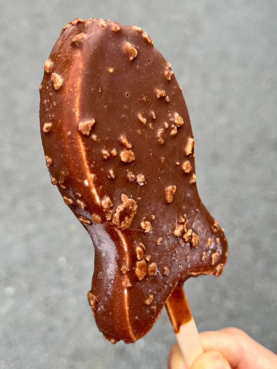 飞鱼脆皮雪糕 造型独特又可爱 雪糕的奶香味好浓郁 入口即化 丝挥又