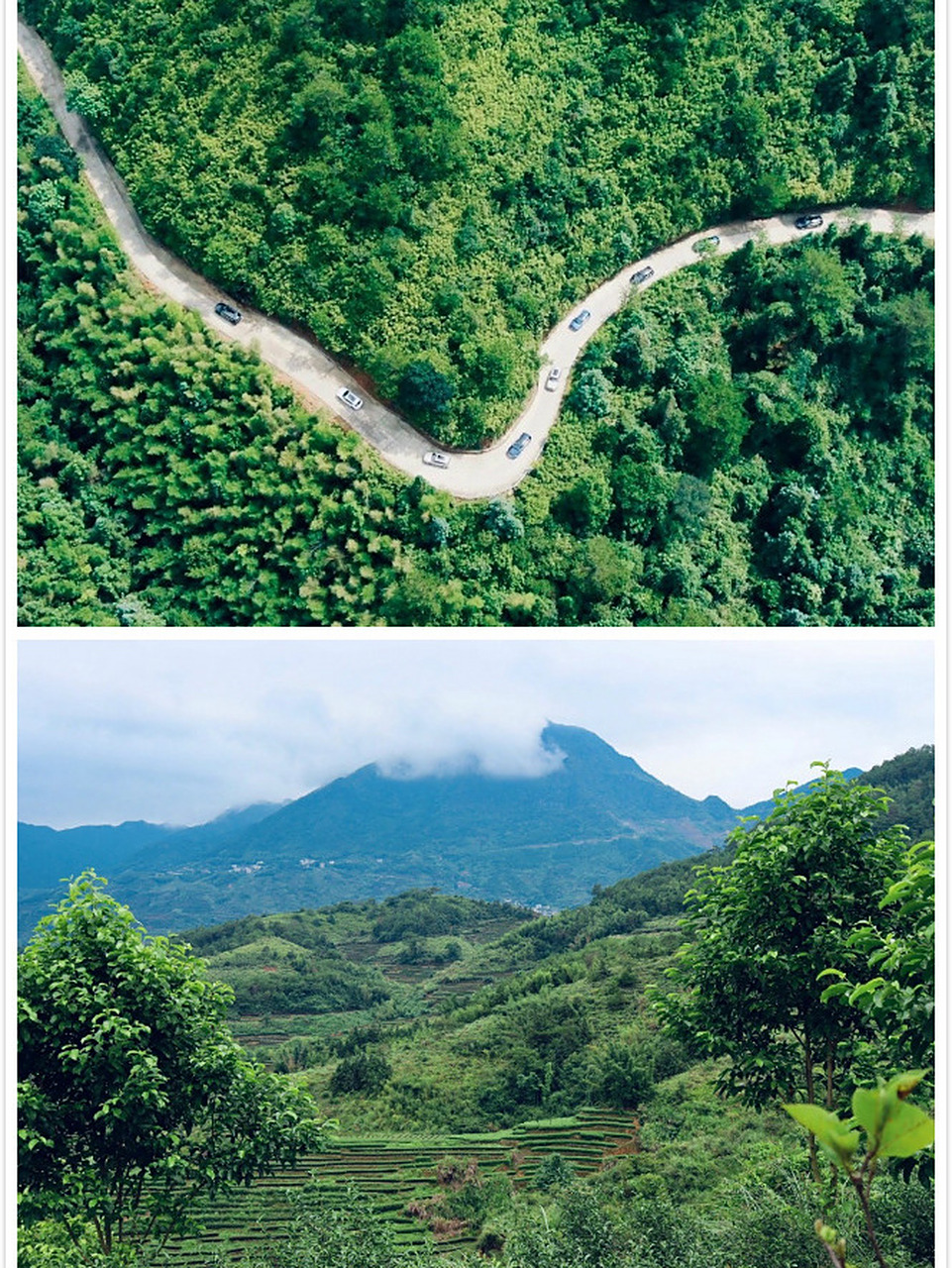 福建安溪云岭茶庄园,假日度假神仙地 地址:泉州市芦田镇福岭村大草埔