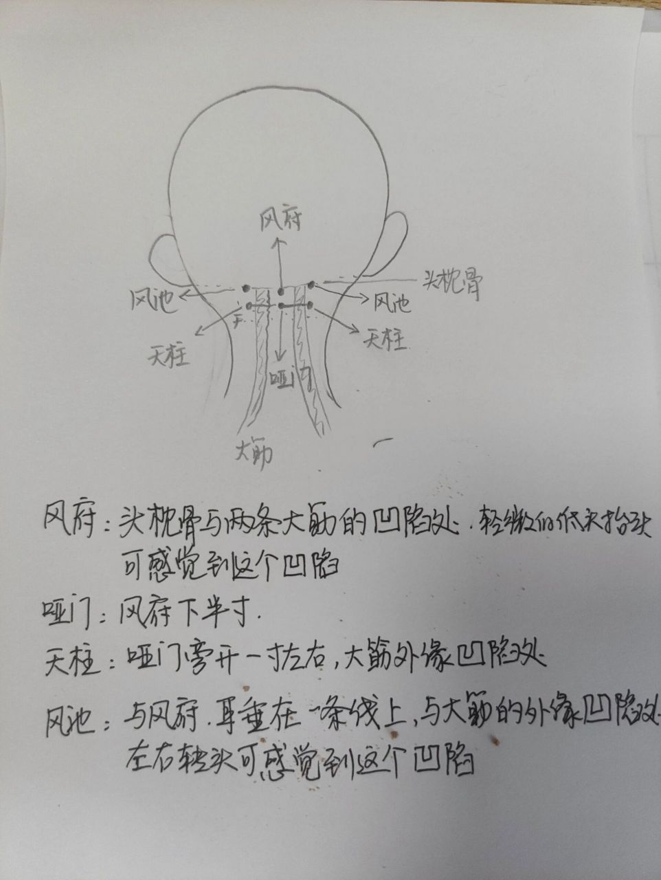 风池和天柱的位置图图片