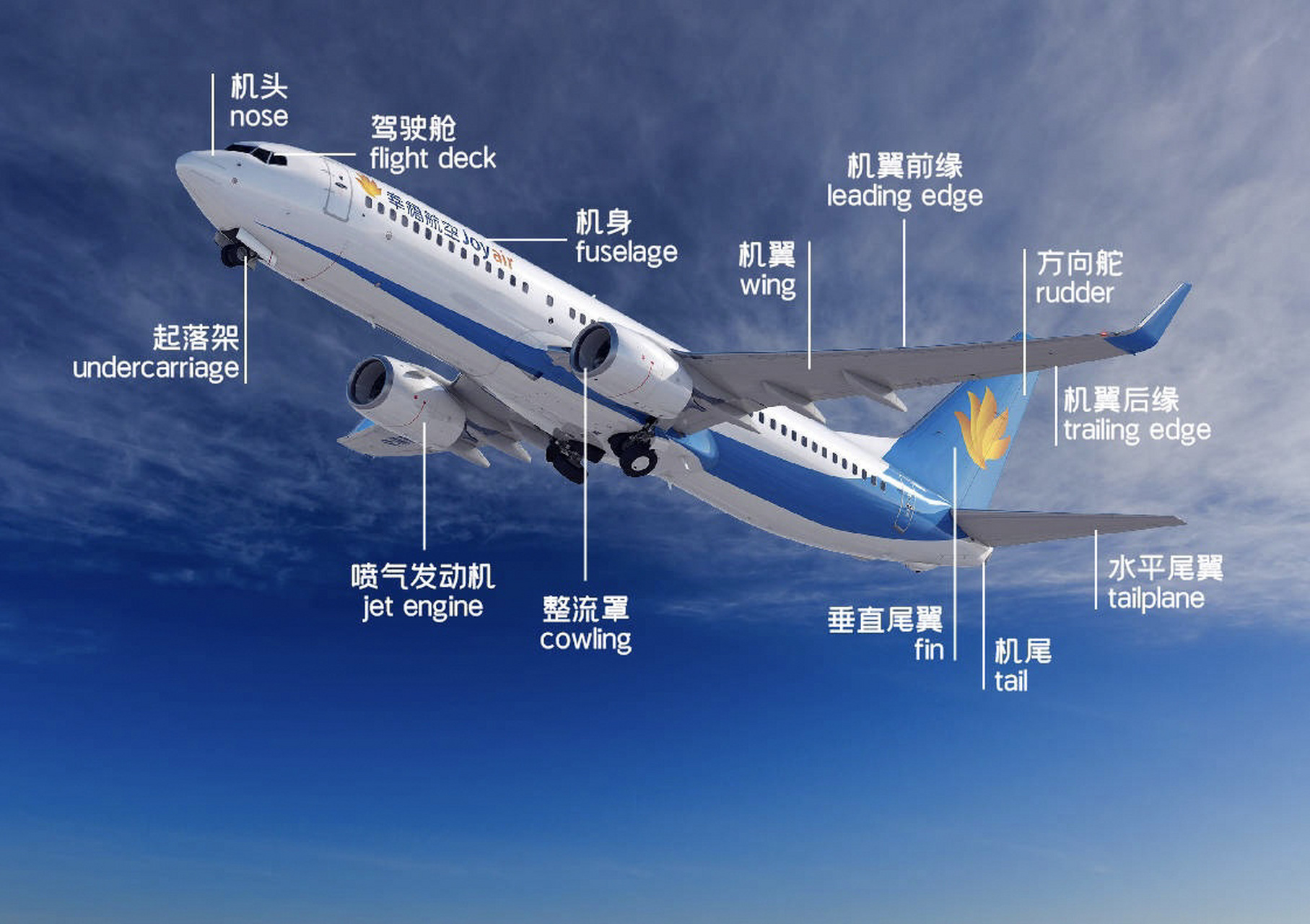 飞机主要外部部件的英文表达
