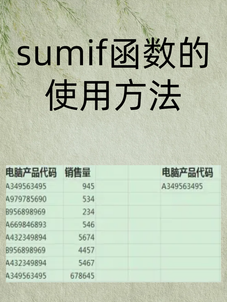 sum函数使用方法