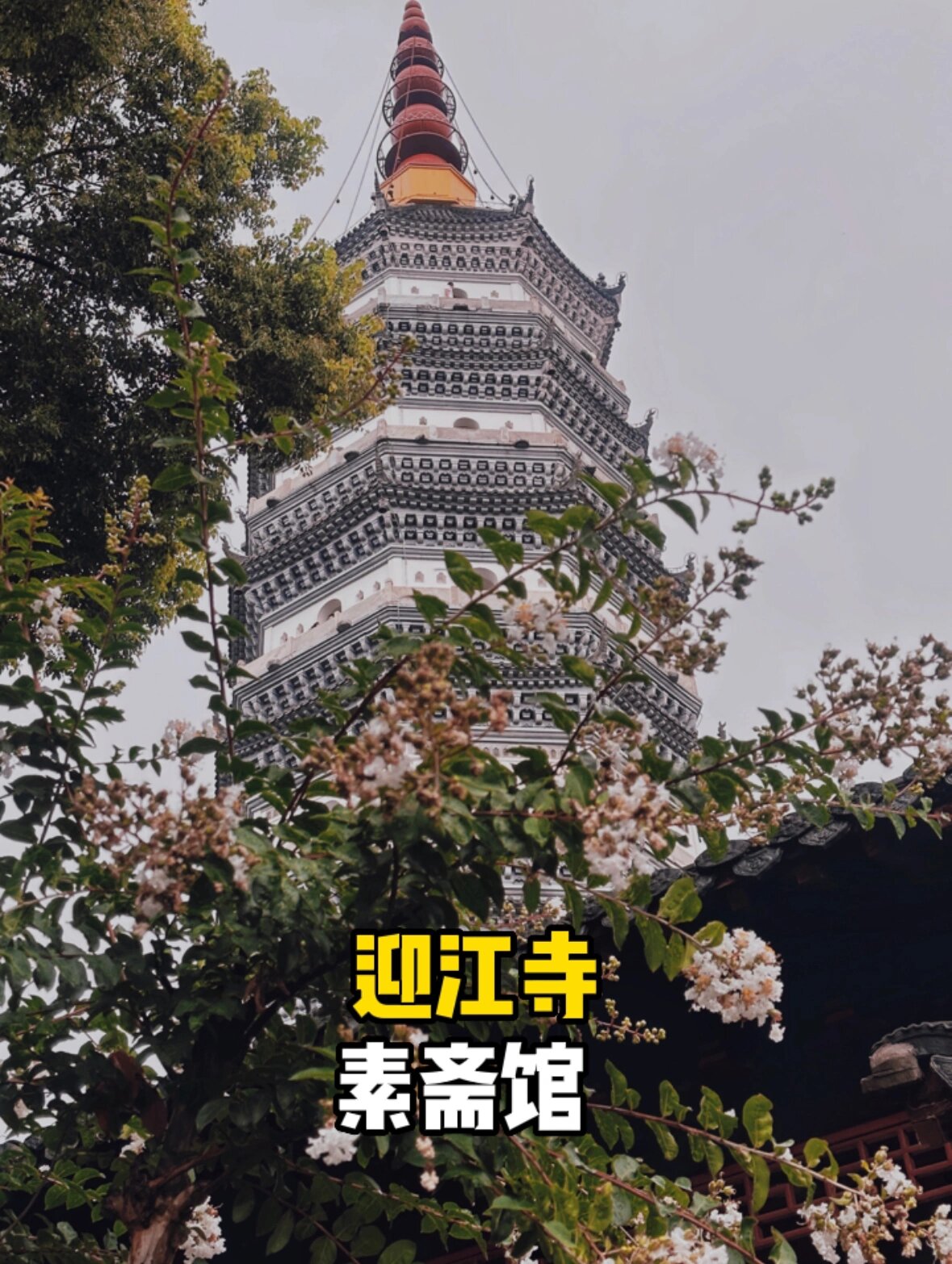 迎江寺素菜馆图片