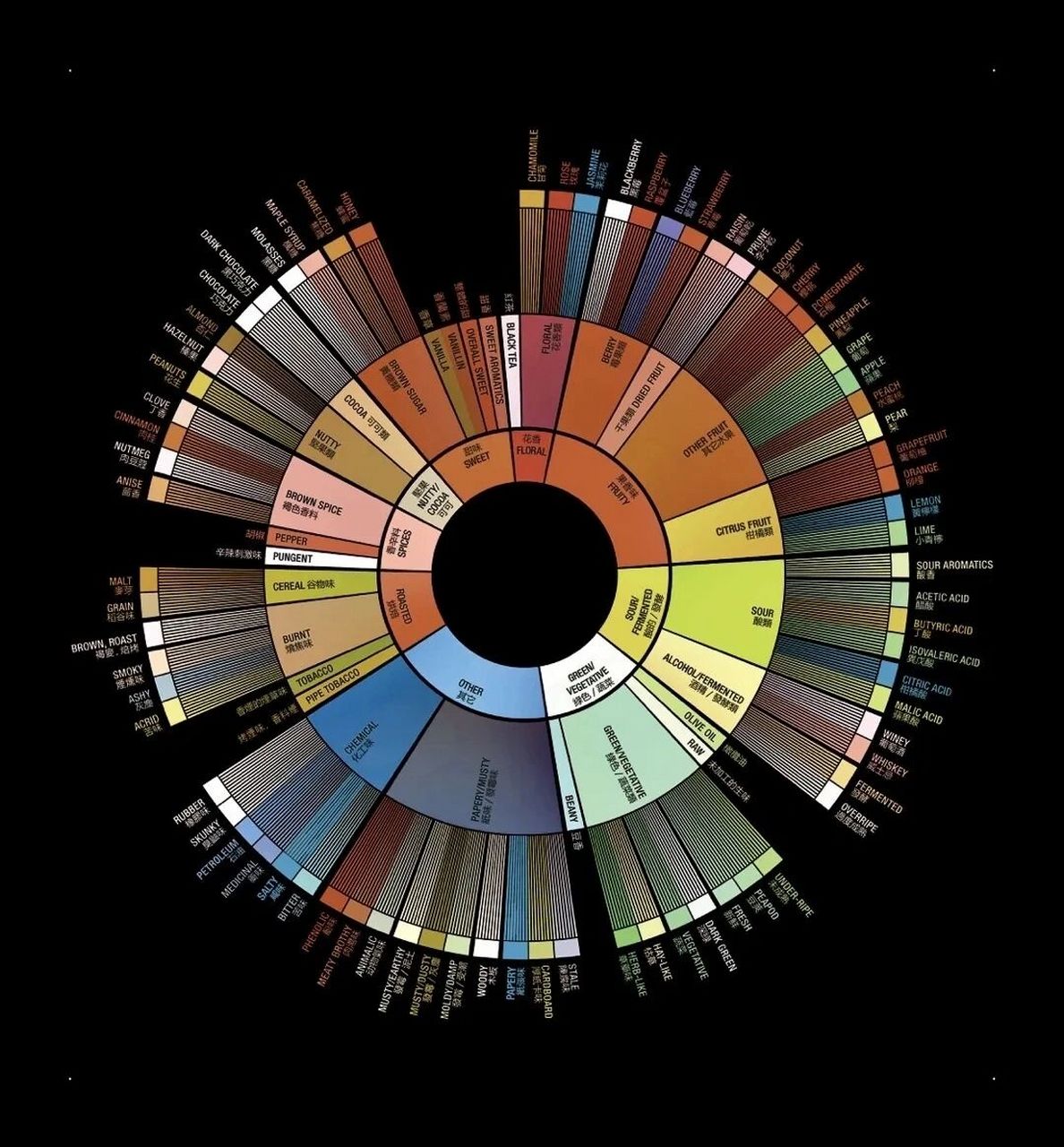 咖啡风味轮2020图片
