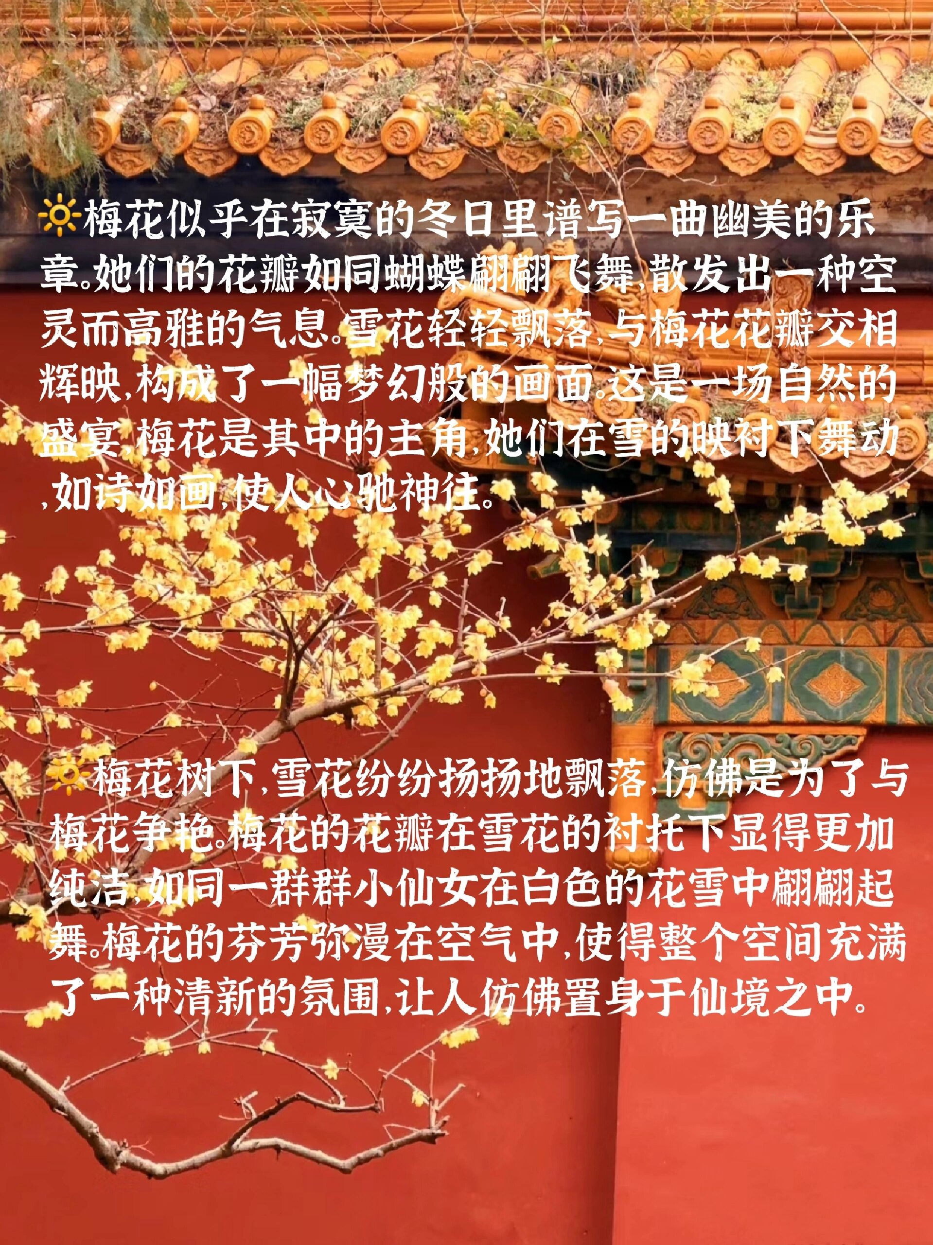 梅花的样子怎么写图片