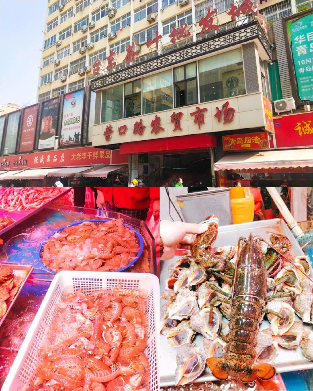 2023年青岛二月份海鲜价格 2023年二月份青岛海鲜市场价格表 后面会