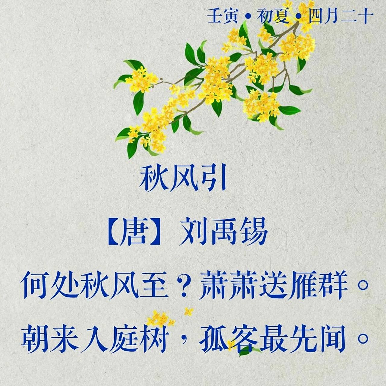 每日诗词020|刘禹锡《秋风引》 92译文:不知从哪里吹来了秋风,在