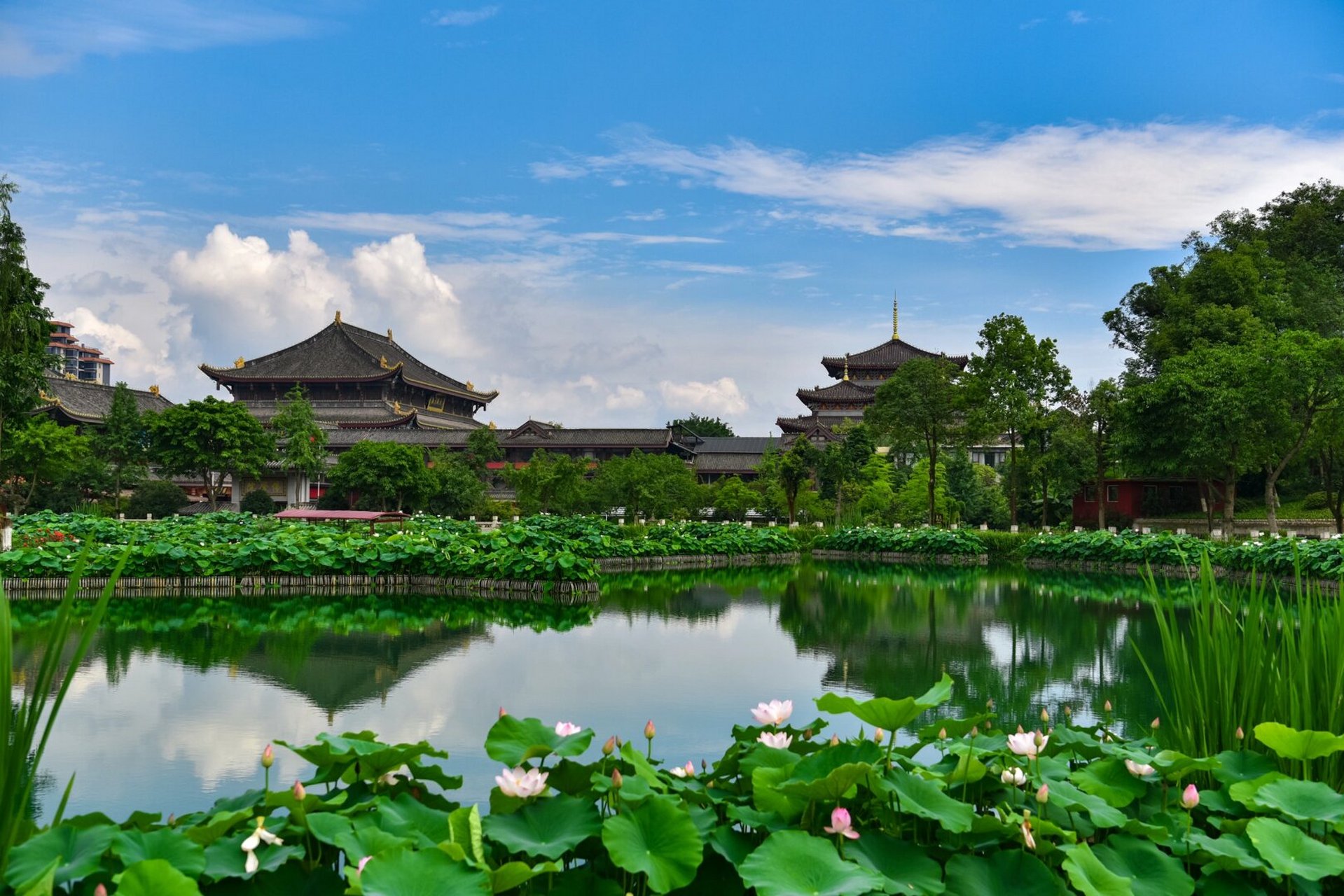 峨眉山大佛寺图片