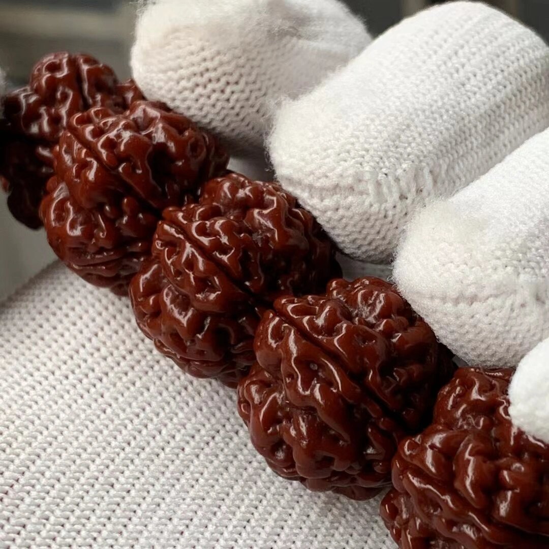 帝王花小金刚大尺寸一步到位的串 完美毕业级帝王花小金刚