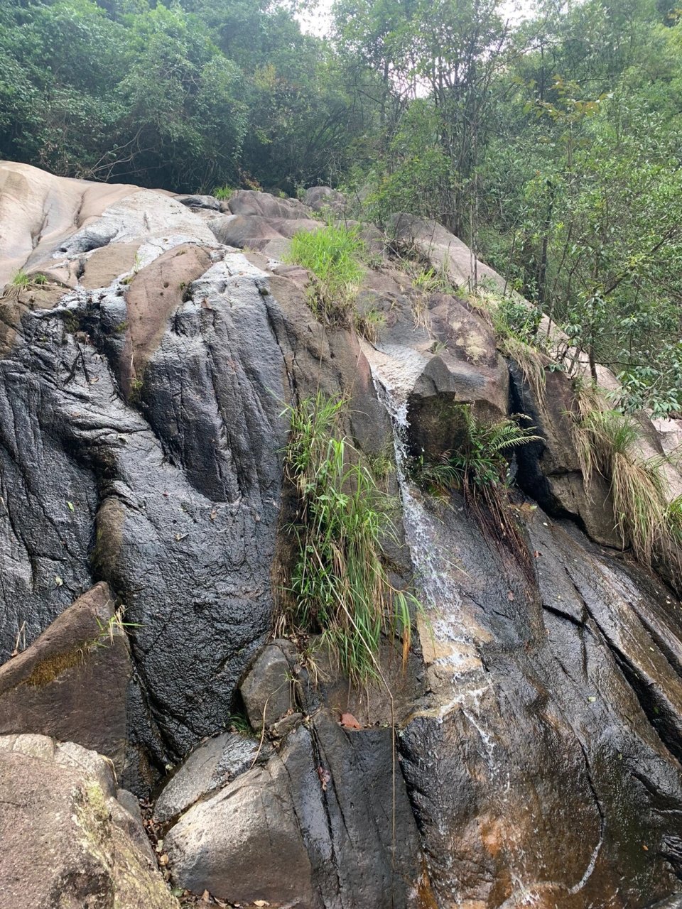 英德石门台 今天来到英德石门台国家级森林公园徒步.