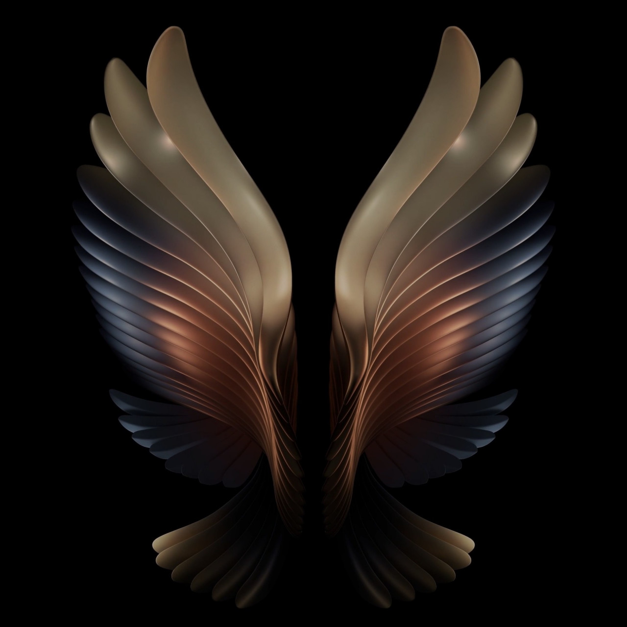 三星w21 5g心系天下原生壁纸 分享图片