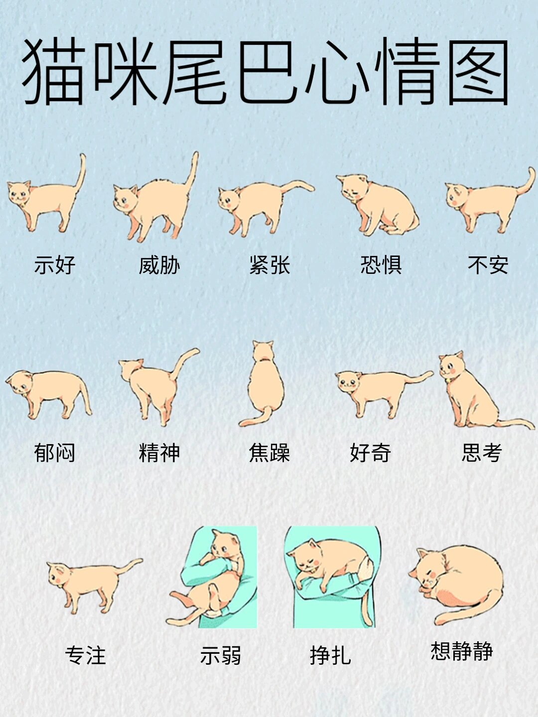 猫咪尾巴心情图🌝你家猫咪此刻什么心情