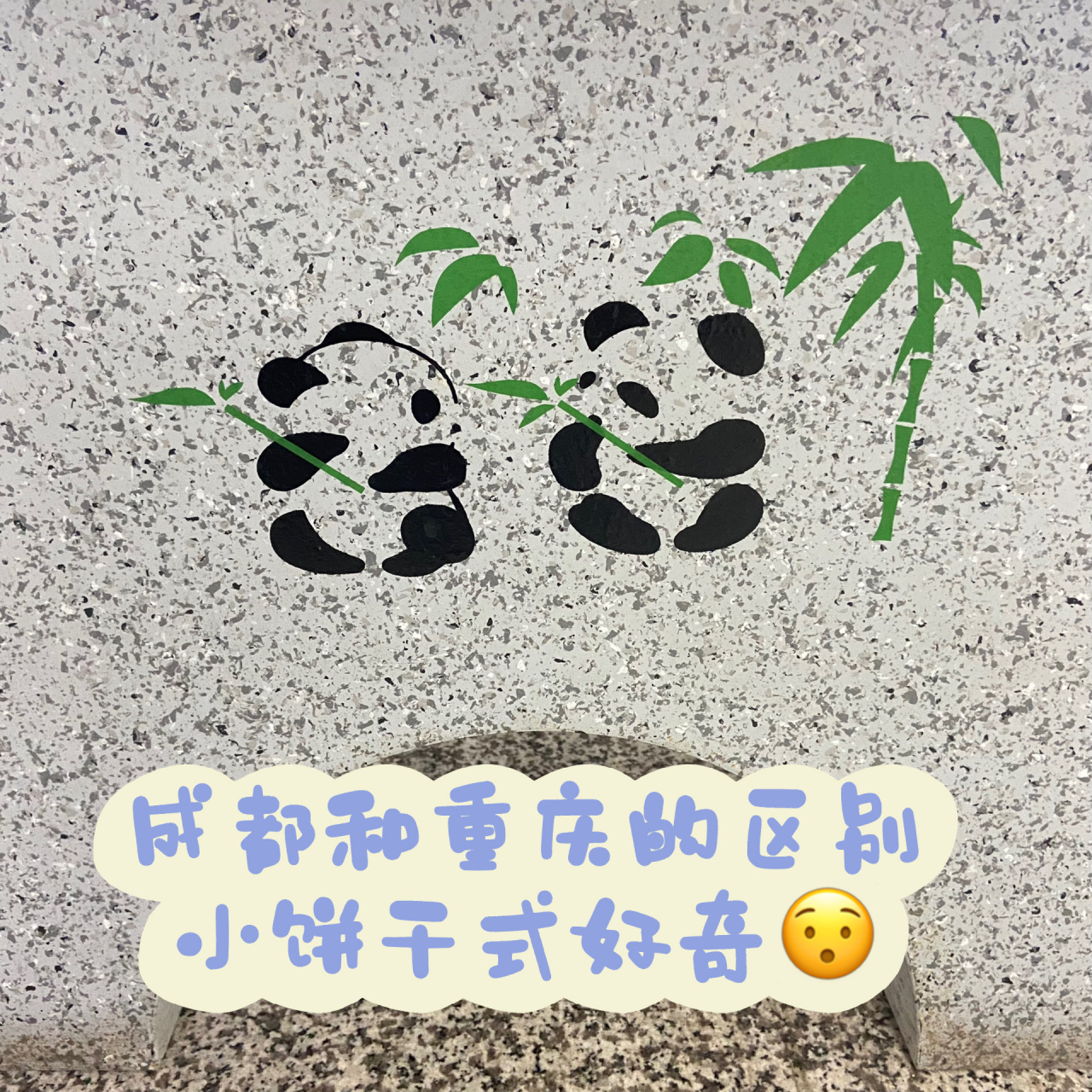 成都vs重庆:这两个城市有啥子区别呢?
