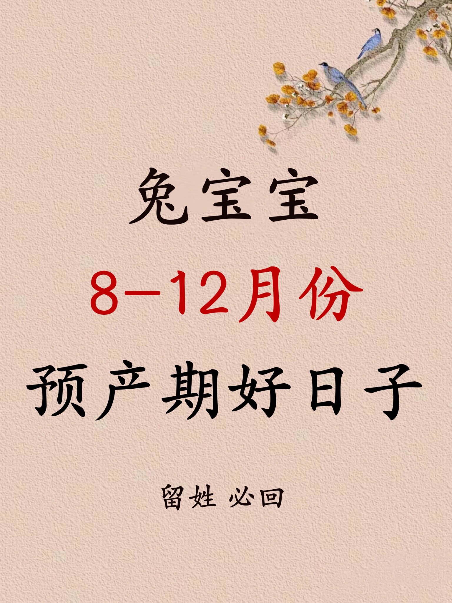 生肖兔8.18运势(一等命的6个生肖兔)