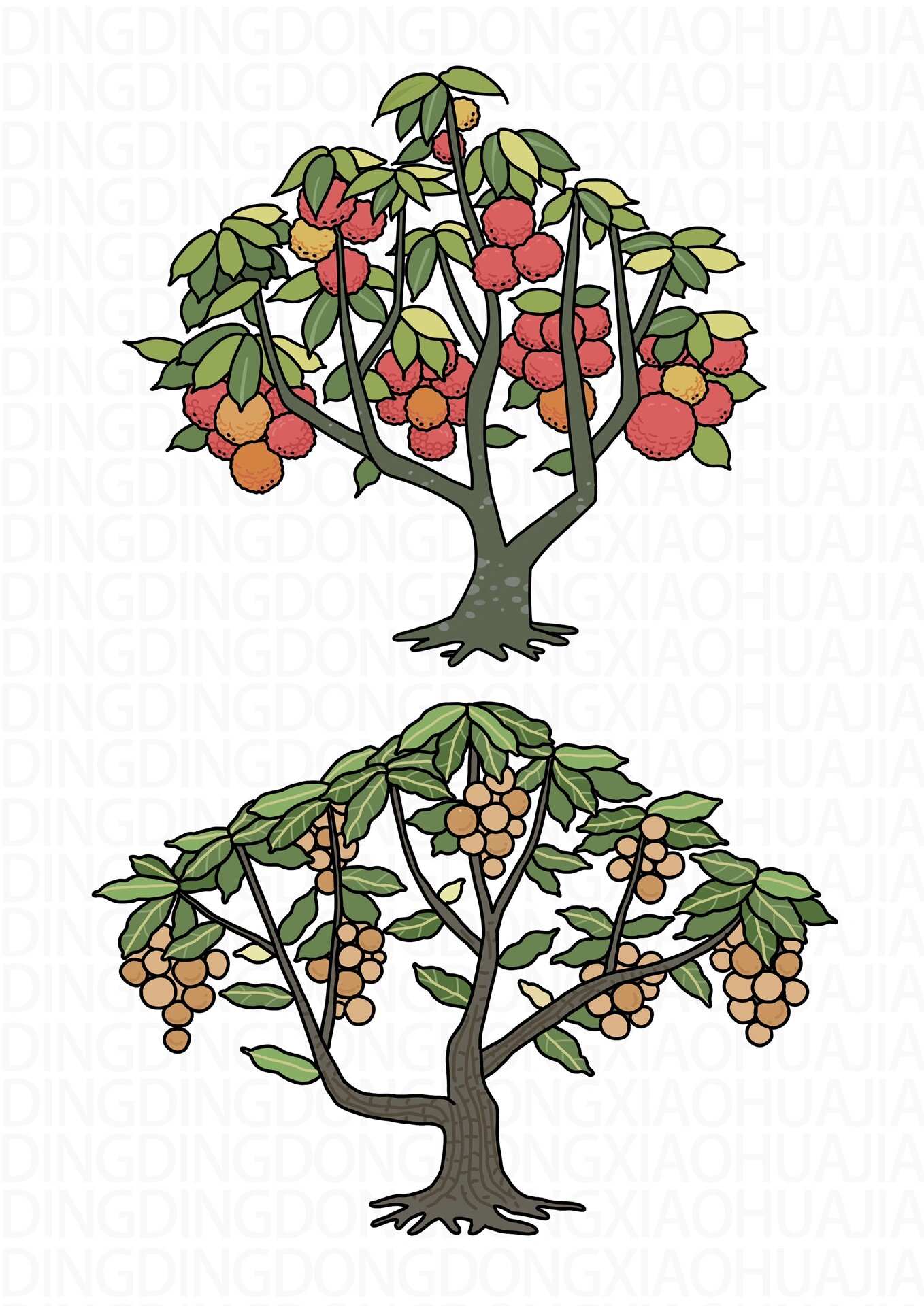 果树简笔画(南方篇)