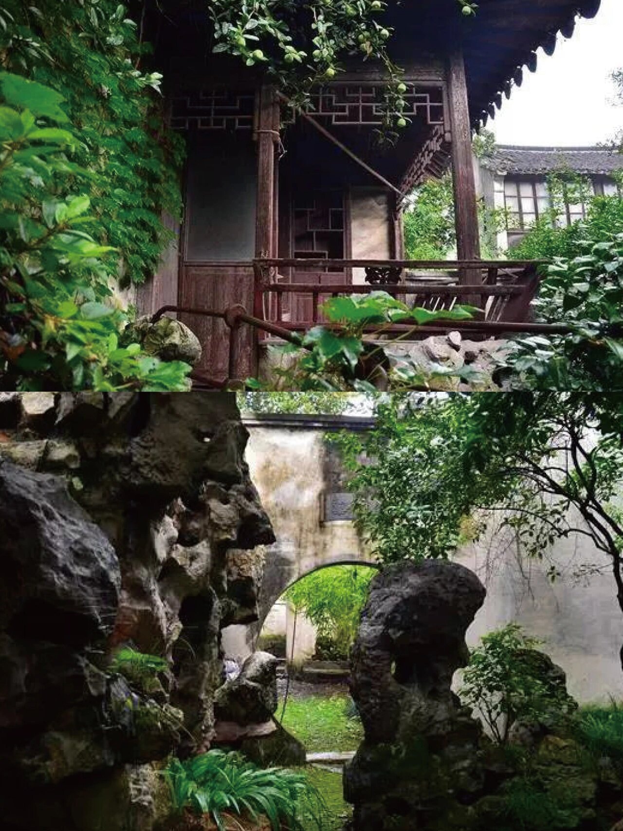 "言园之小而精巧"苏州最小的园林——残粒园 98 残粒园建于光绪十年