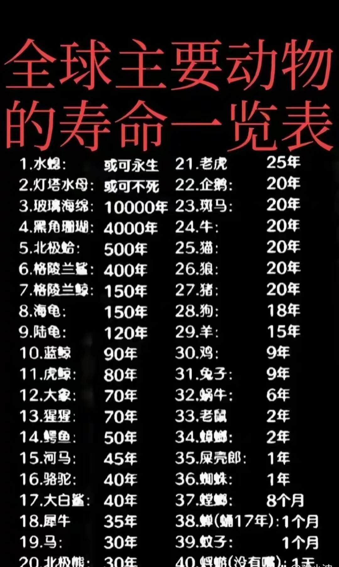 全球主要动物寿命一览表