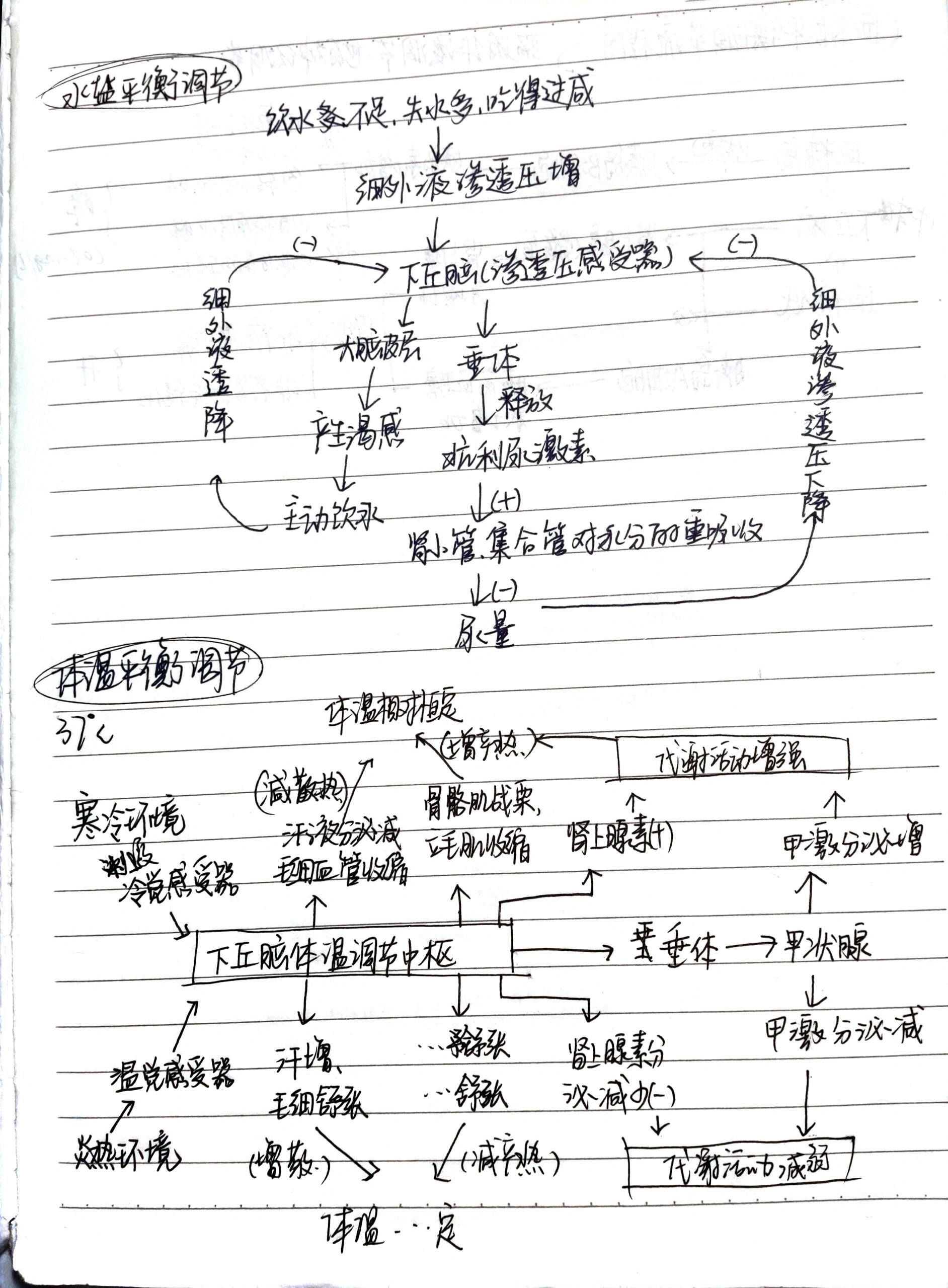 水盐平衡调节流程图图片