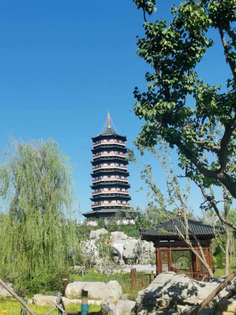 悦容公园|雄安新区的园林公园 不知不觉已经见证了悦容公园的四季变化