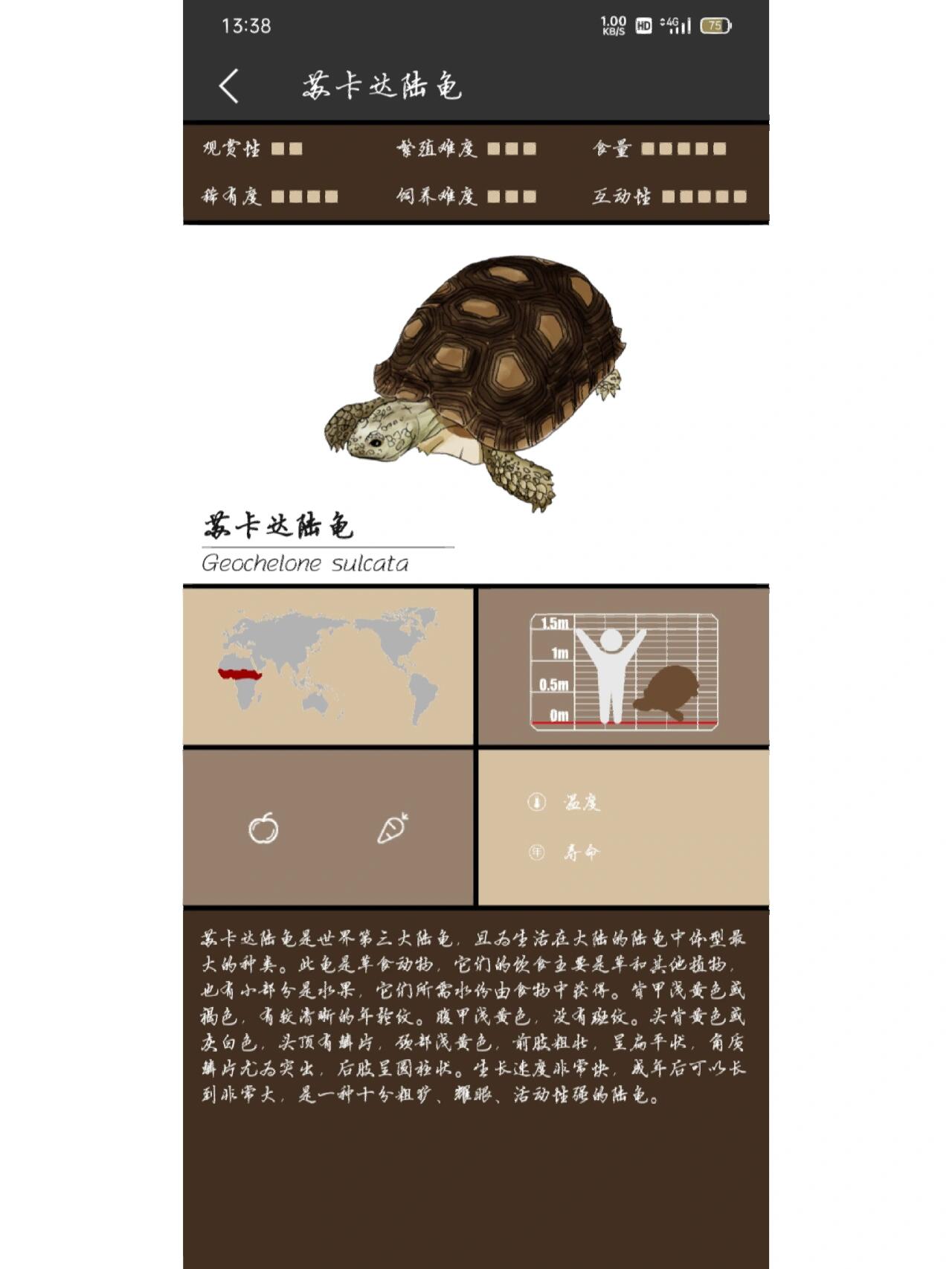 分享9种常见陆龟品种