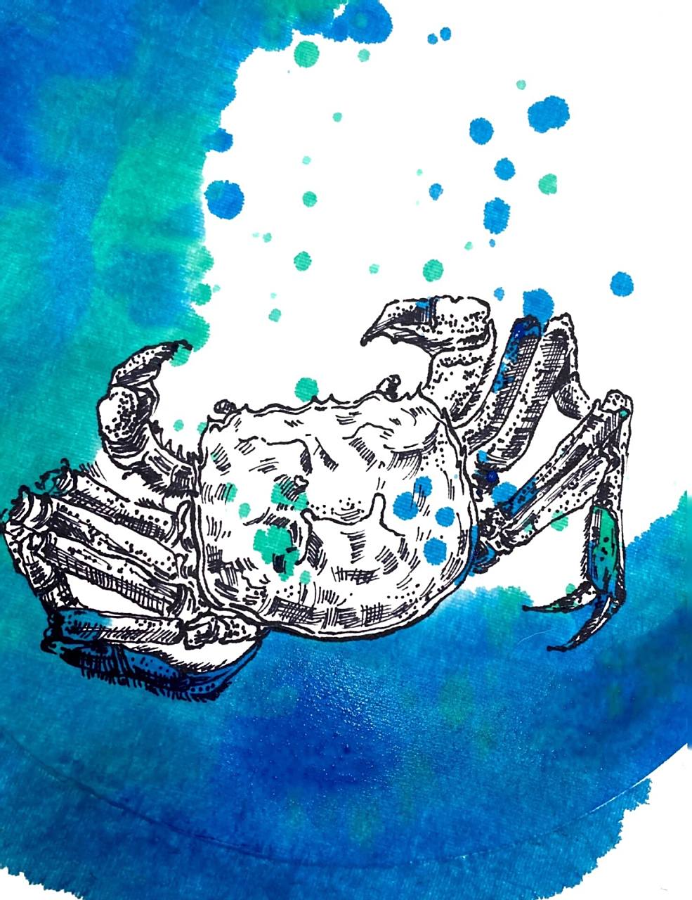 少儿创意美术绘画海底主题课程二螃蟹