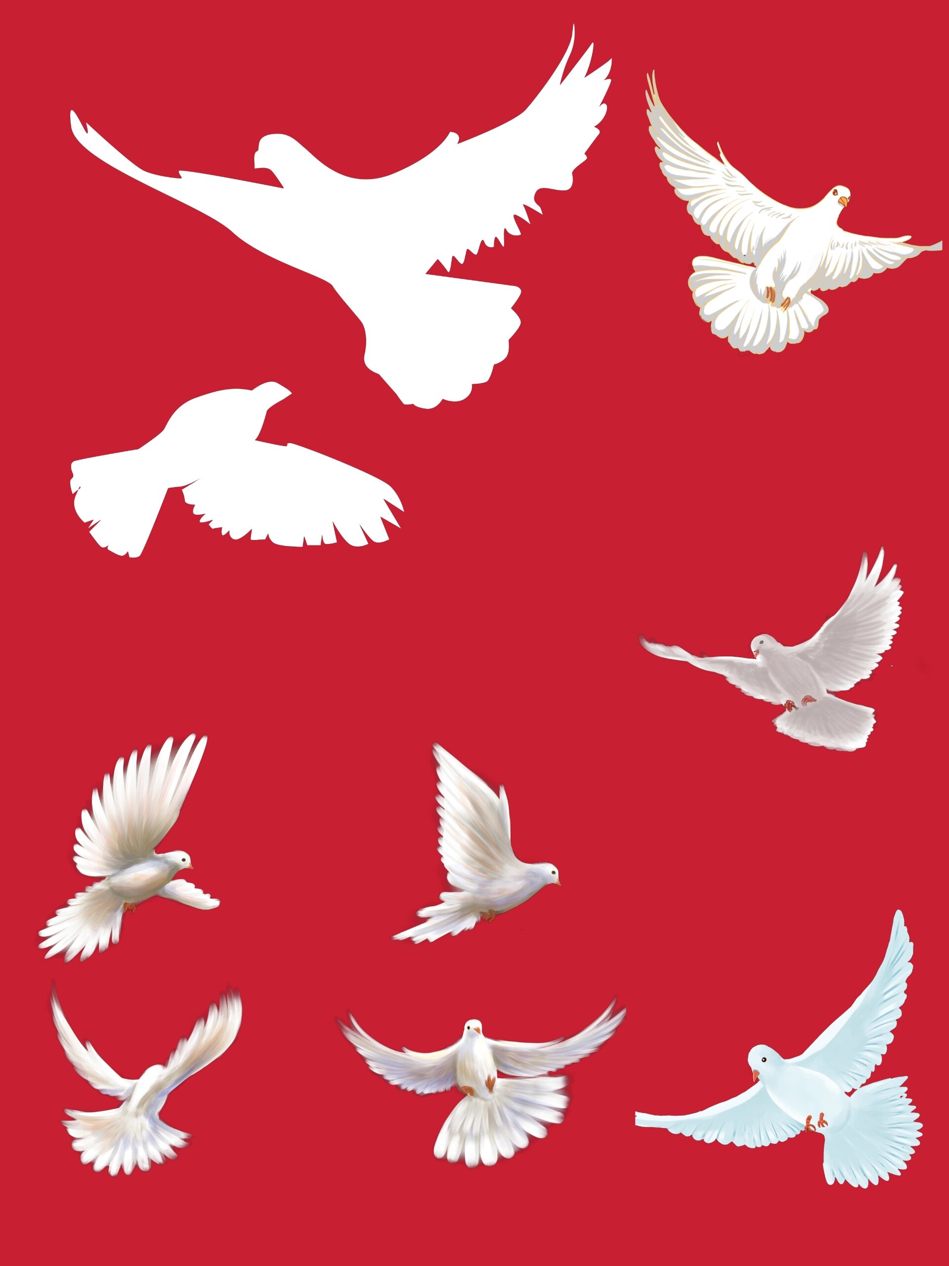 公益海报设计,白鸽因为其纯白无暇的形象一直被国际社会冠以"和平"