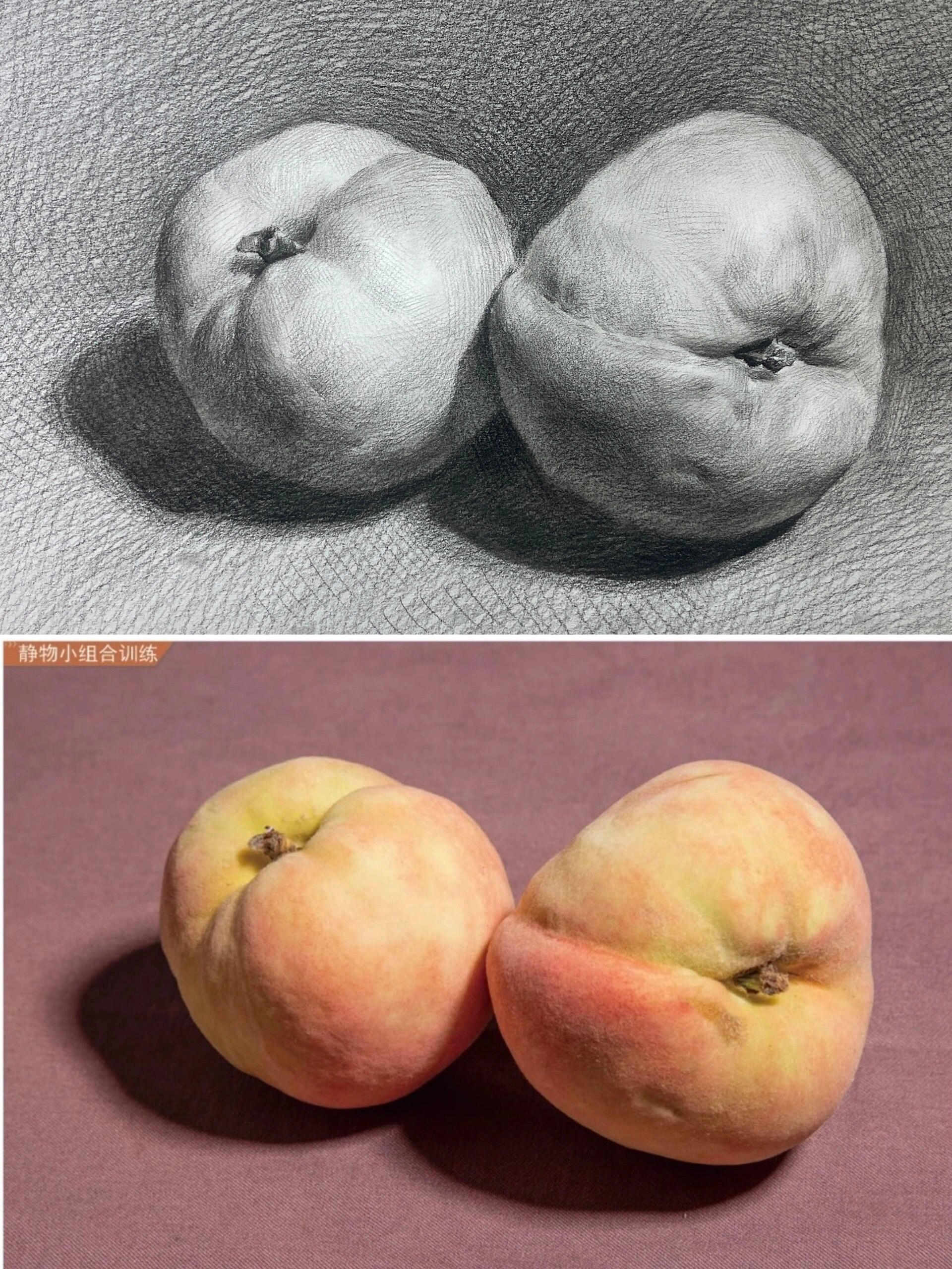 两个桃子的素描