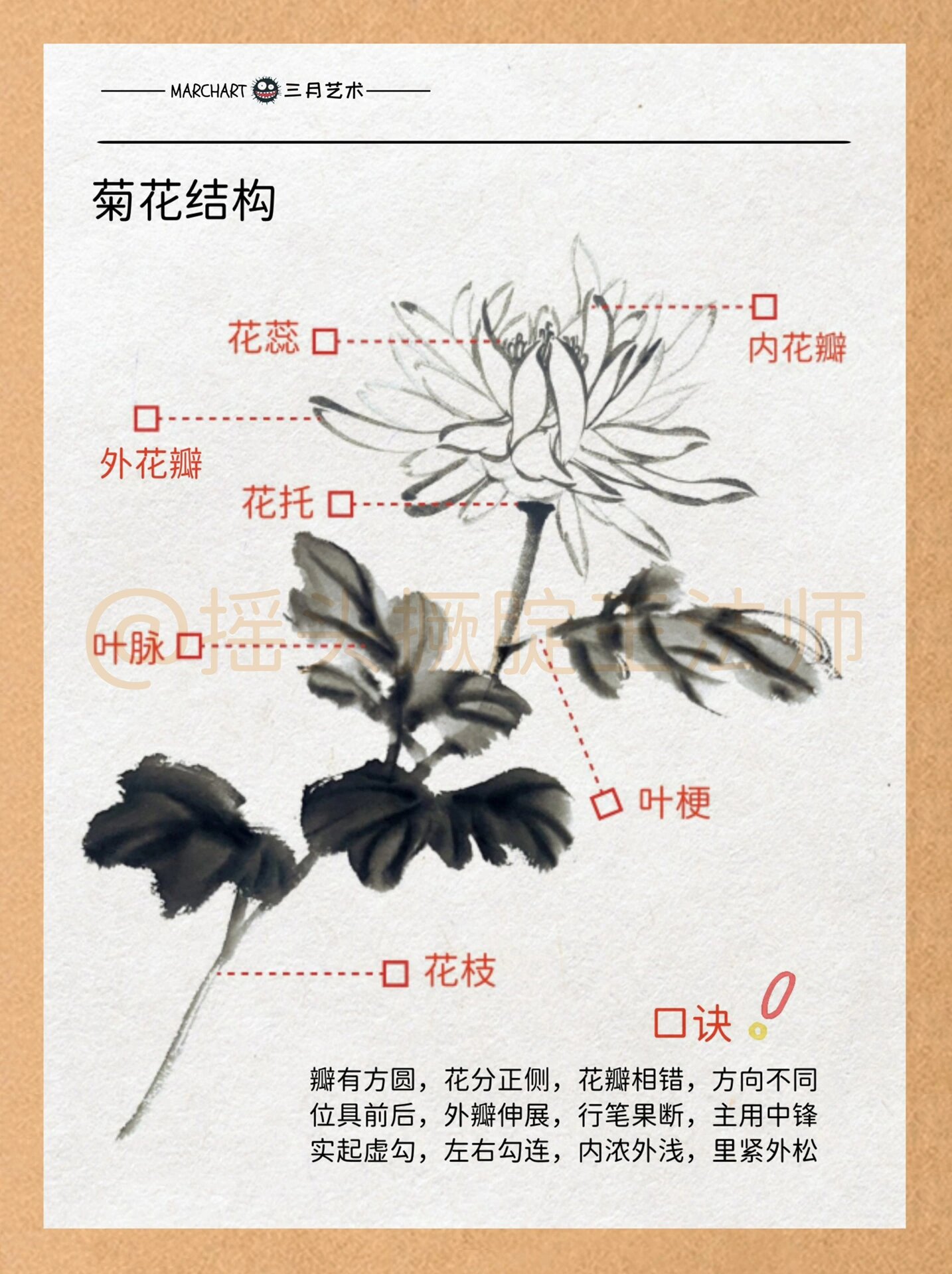 国画入门19|菊花画法79双勾花瓣6015干货分享