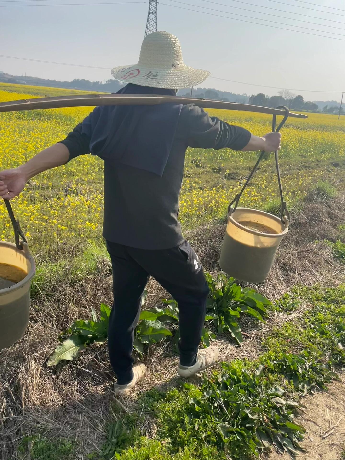今天是挑粪男孩