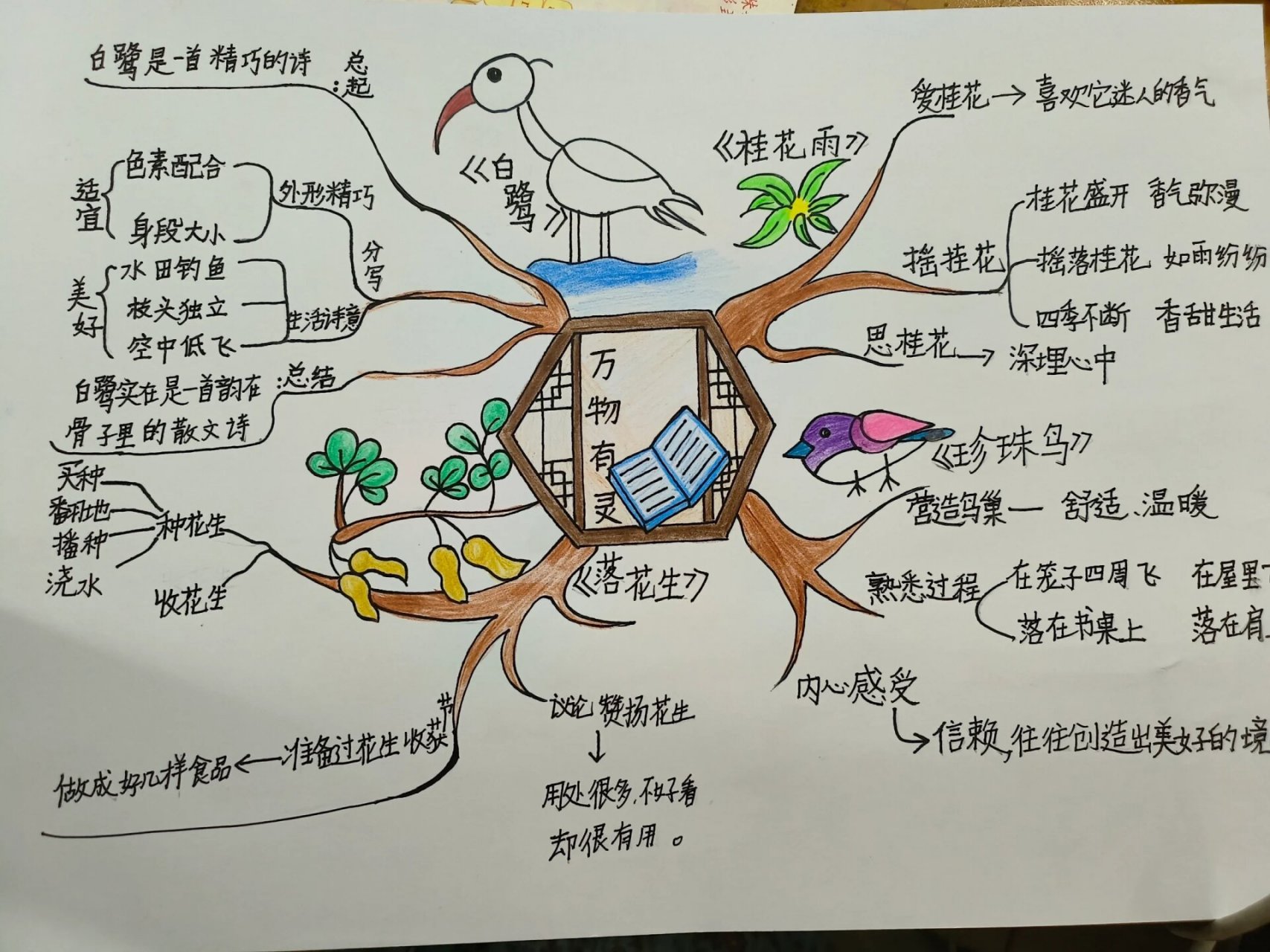 五上语文思维导图全册图片