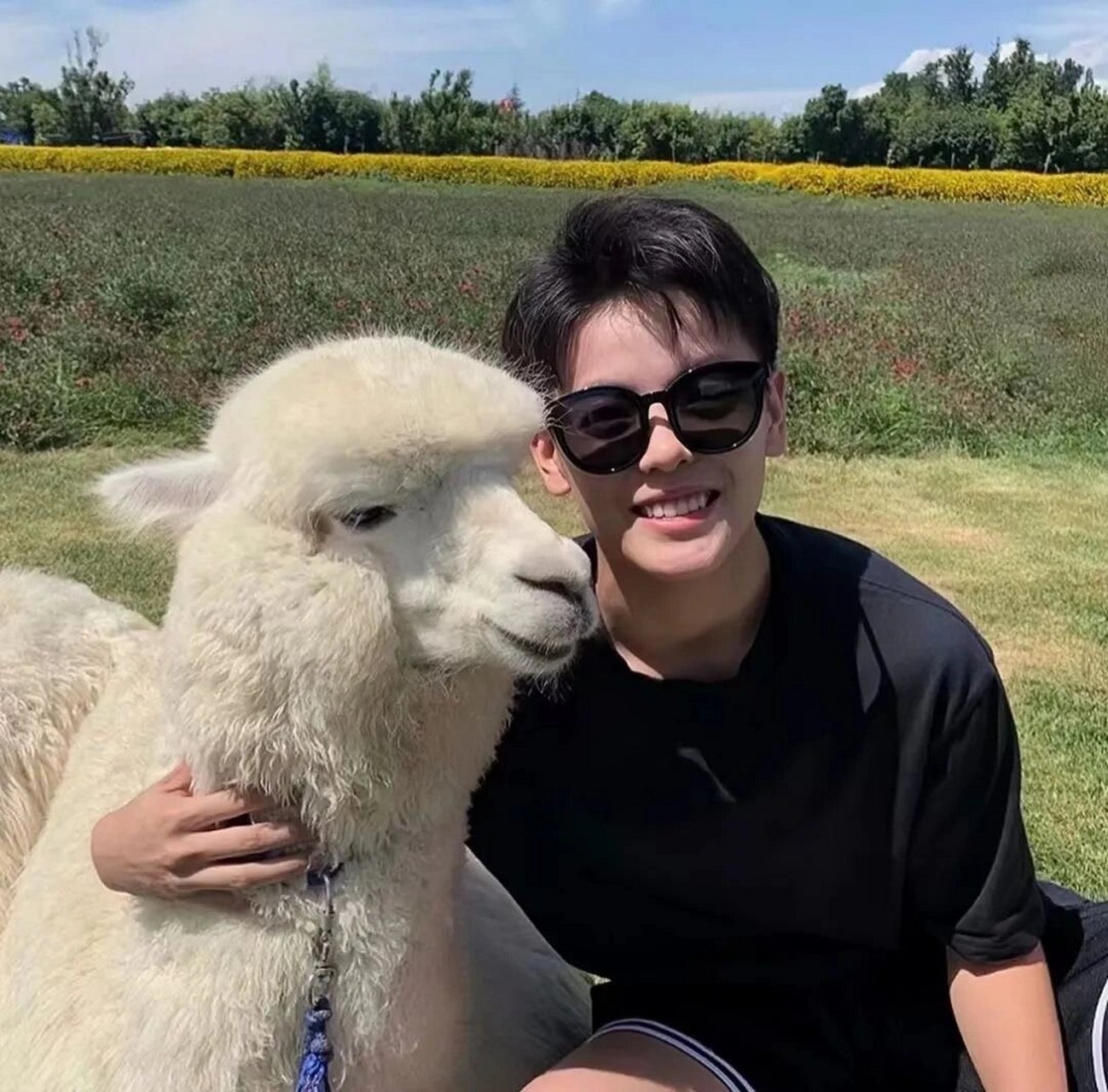 动物系列男生头像# #男头# #猫咪头像##狗狗头像