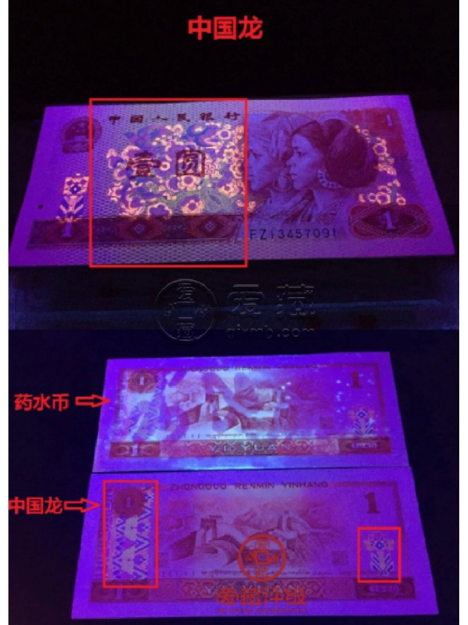 龙 金龙王是红金龙当中再细分出来的品种,为801当中最稀缺的荧光品种