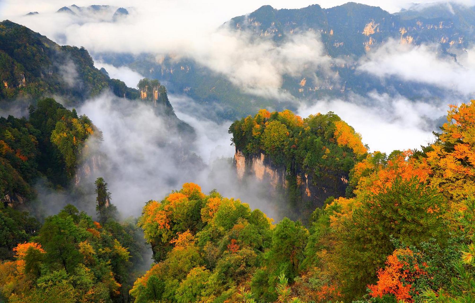 光雾山风景区坐落于四川南江县北部,如今,它已进入了最佳观赏期.