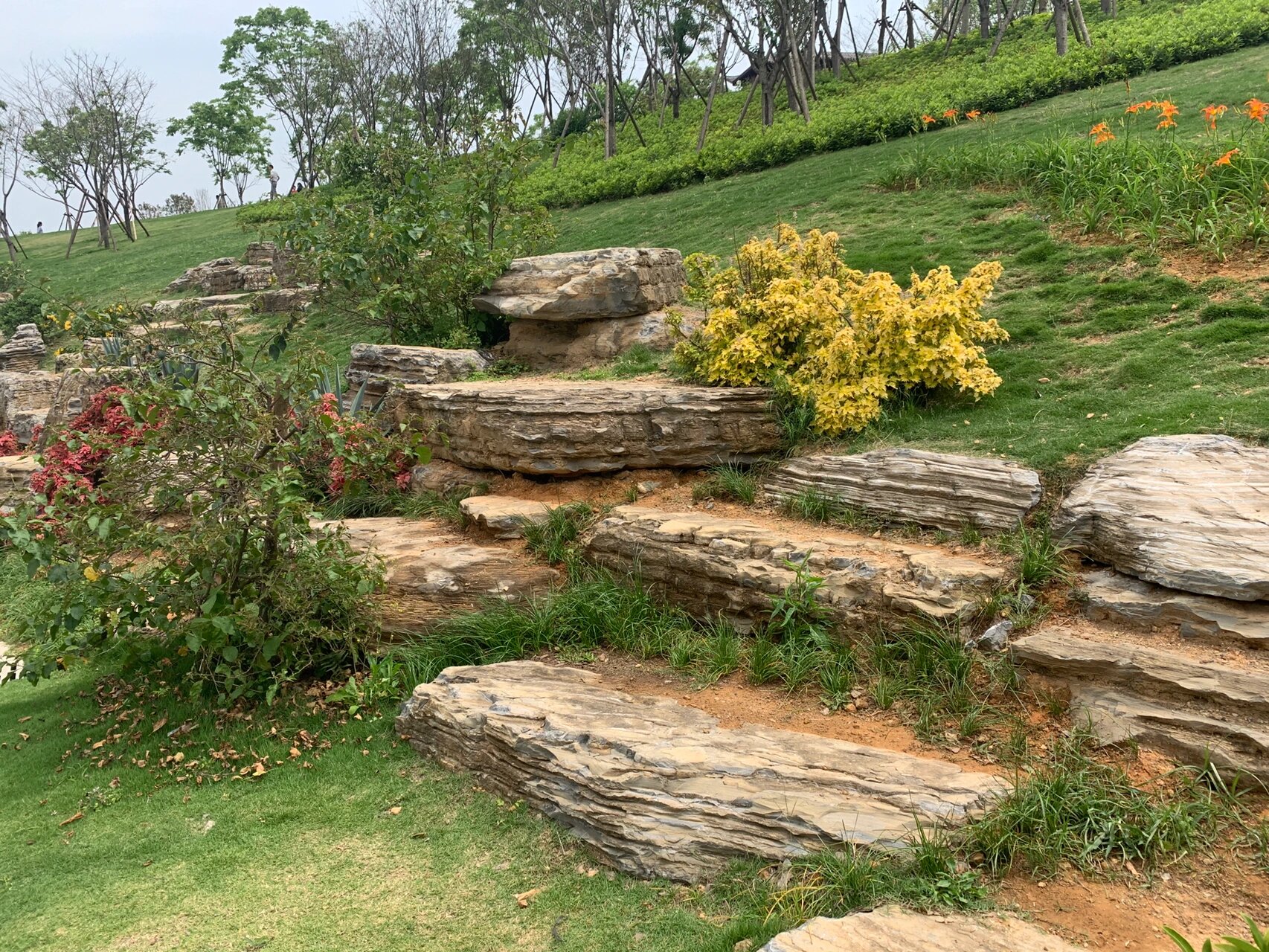 公园千层石点缀造景,视觉效果饱满!