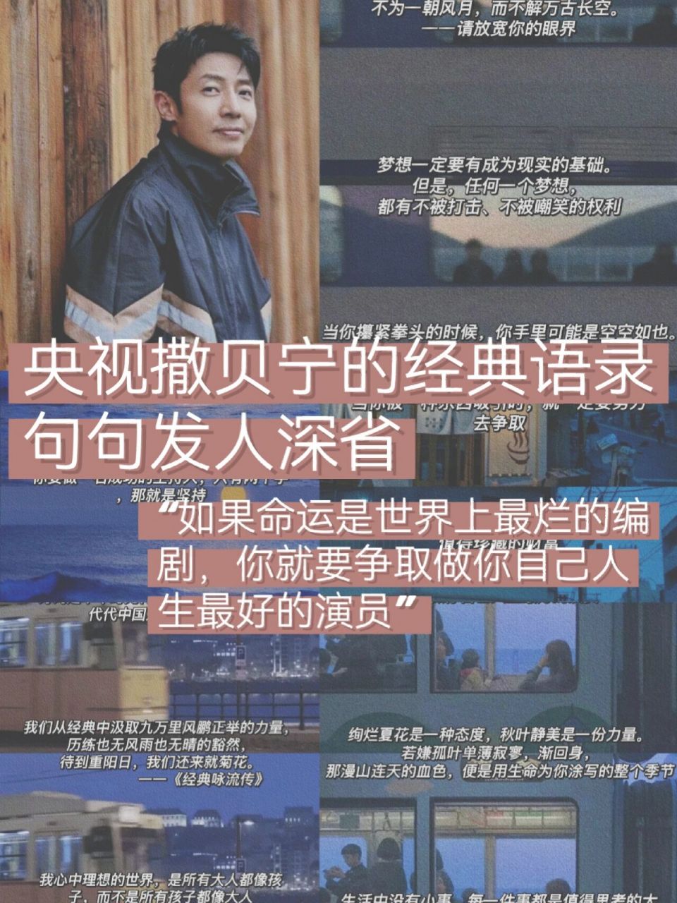 今天给大家整理了一些撒贝宁的经典语录,一起看看吧