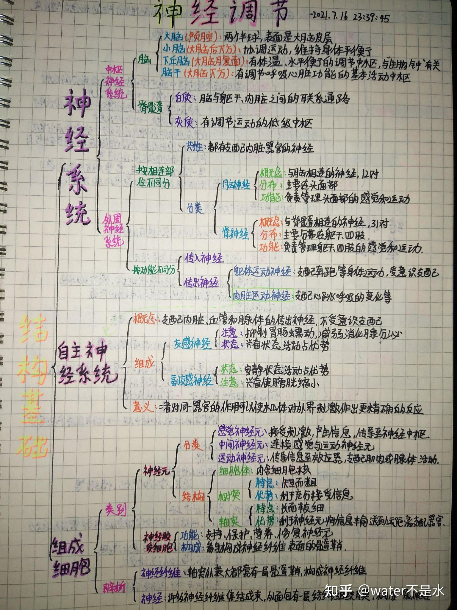 生物神经调节思维导图图片