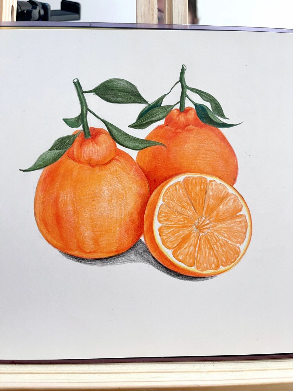 画室必备彩铅课程体系水果系列 这个丑橘是照片写生,画出来没想到效果