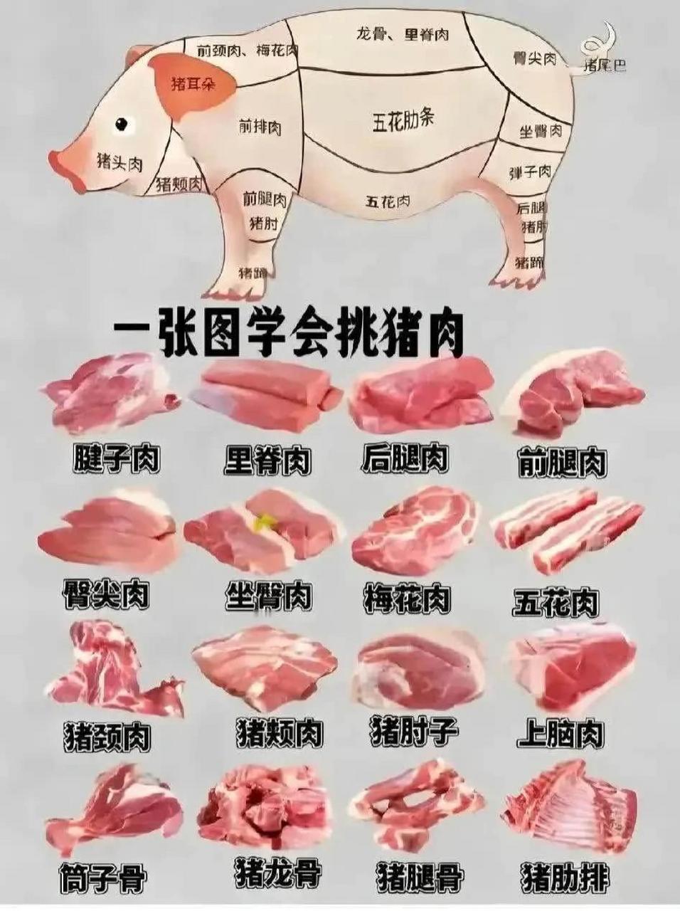 猪里脊肉怎么辨认图片