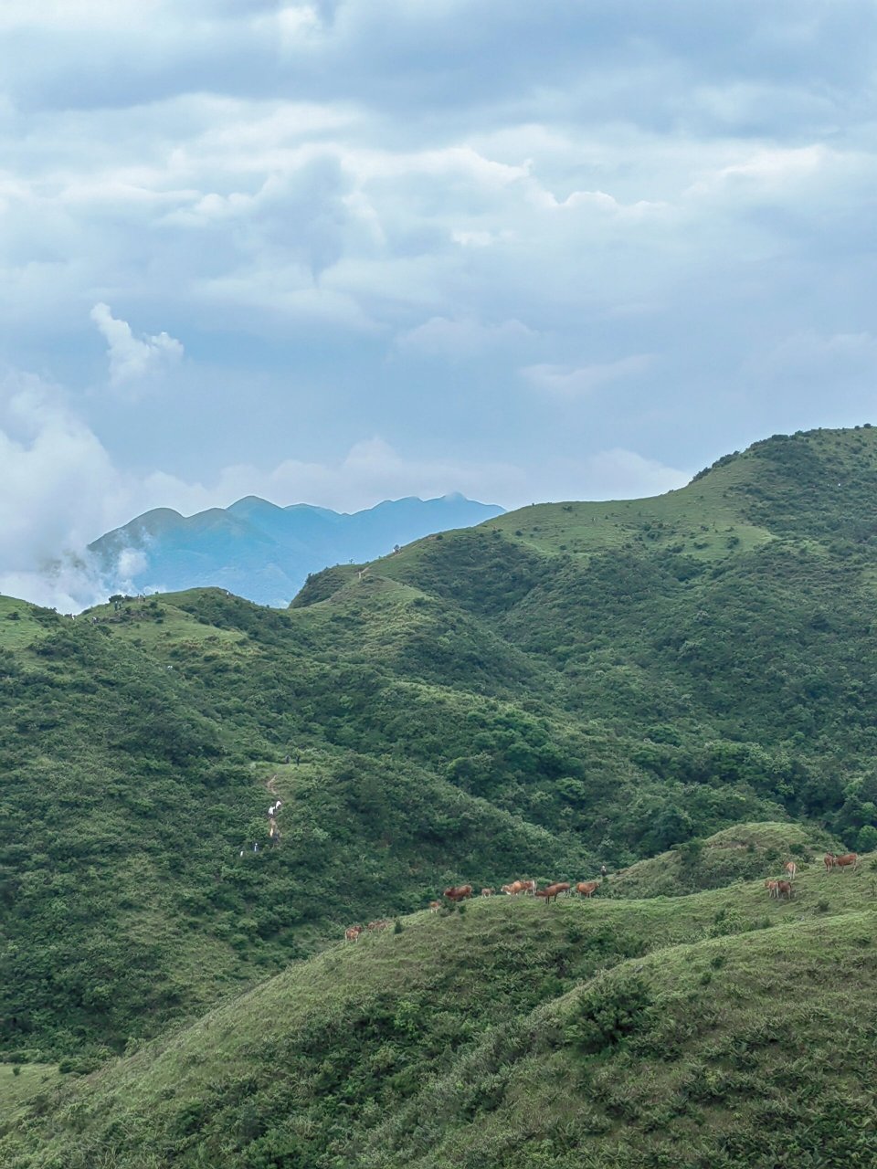 青牛山图片