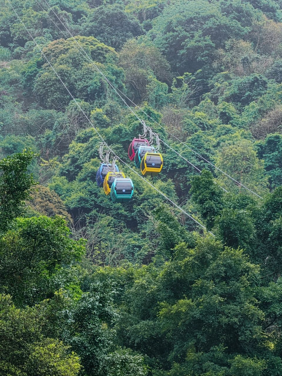 深圳周末系列74求水山公园 地址:龙岗布吉求水山公园 门票: 爬山